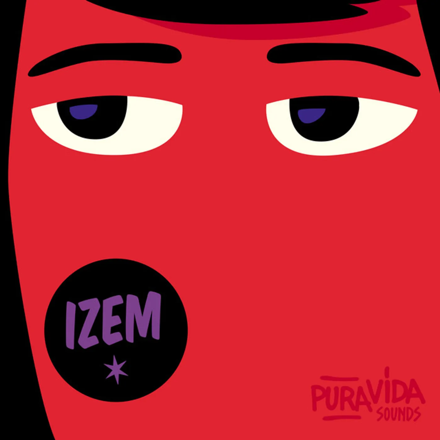 iZem Remixes Vinyl Record