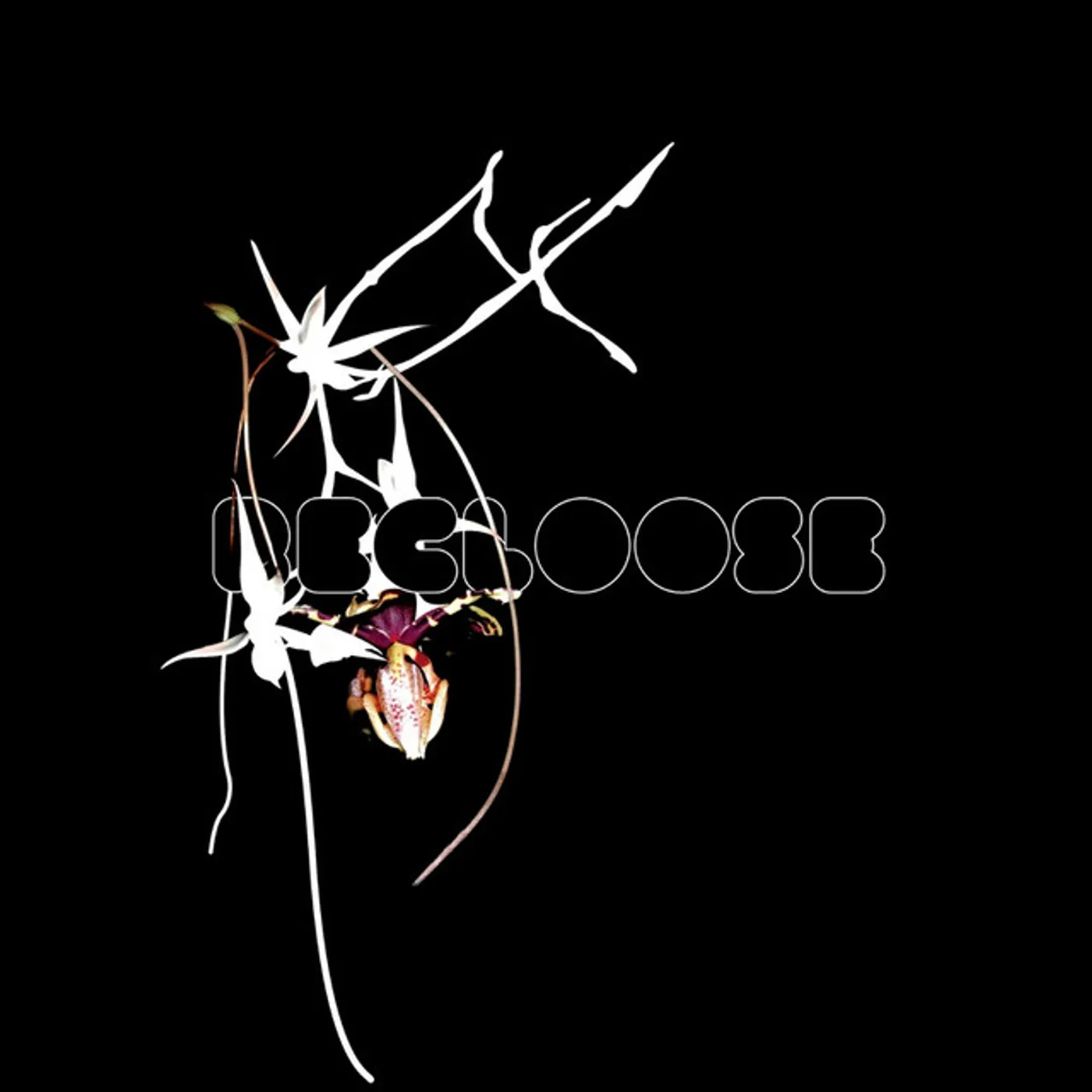 Recloose HIATUS ON THE HORIZON CD