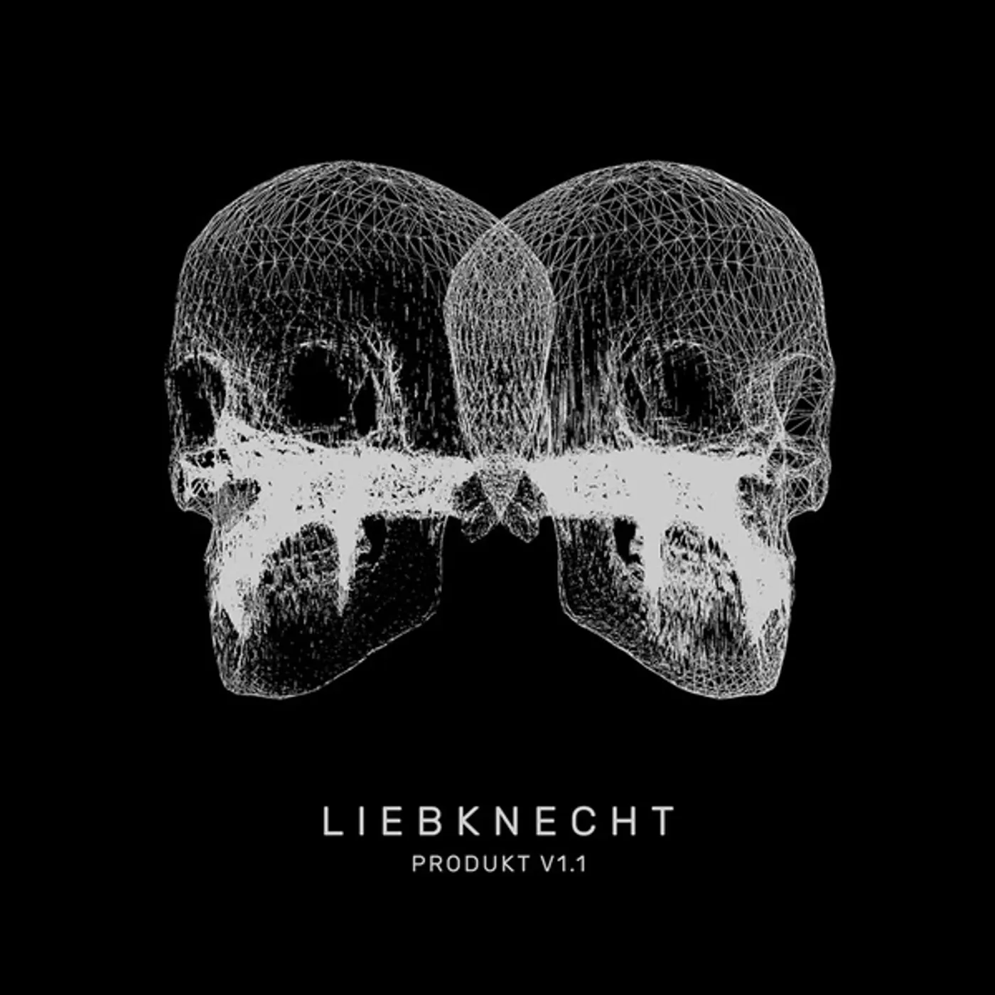 Liebknecht Produkt V1.1 Vinyl Record