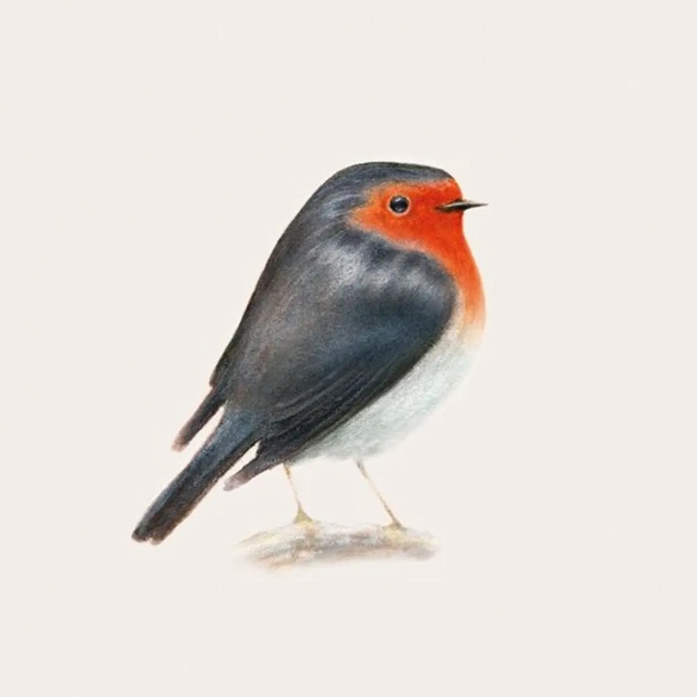 Brunori Sas Cip! Vinyl Record