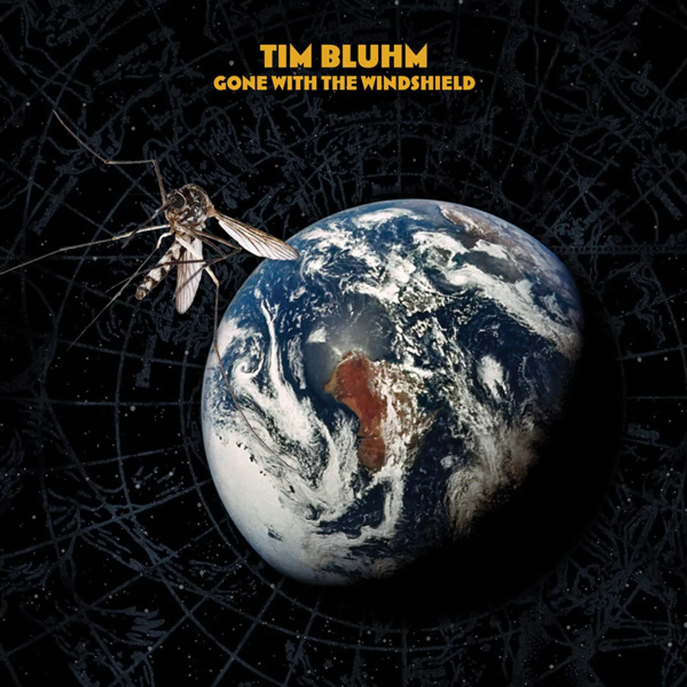 Tim Bluhm Gone With The Windshield Vinyl Record