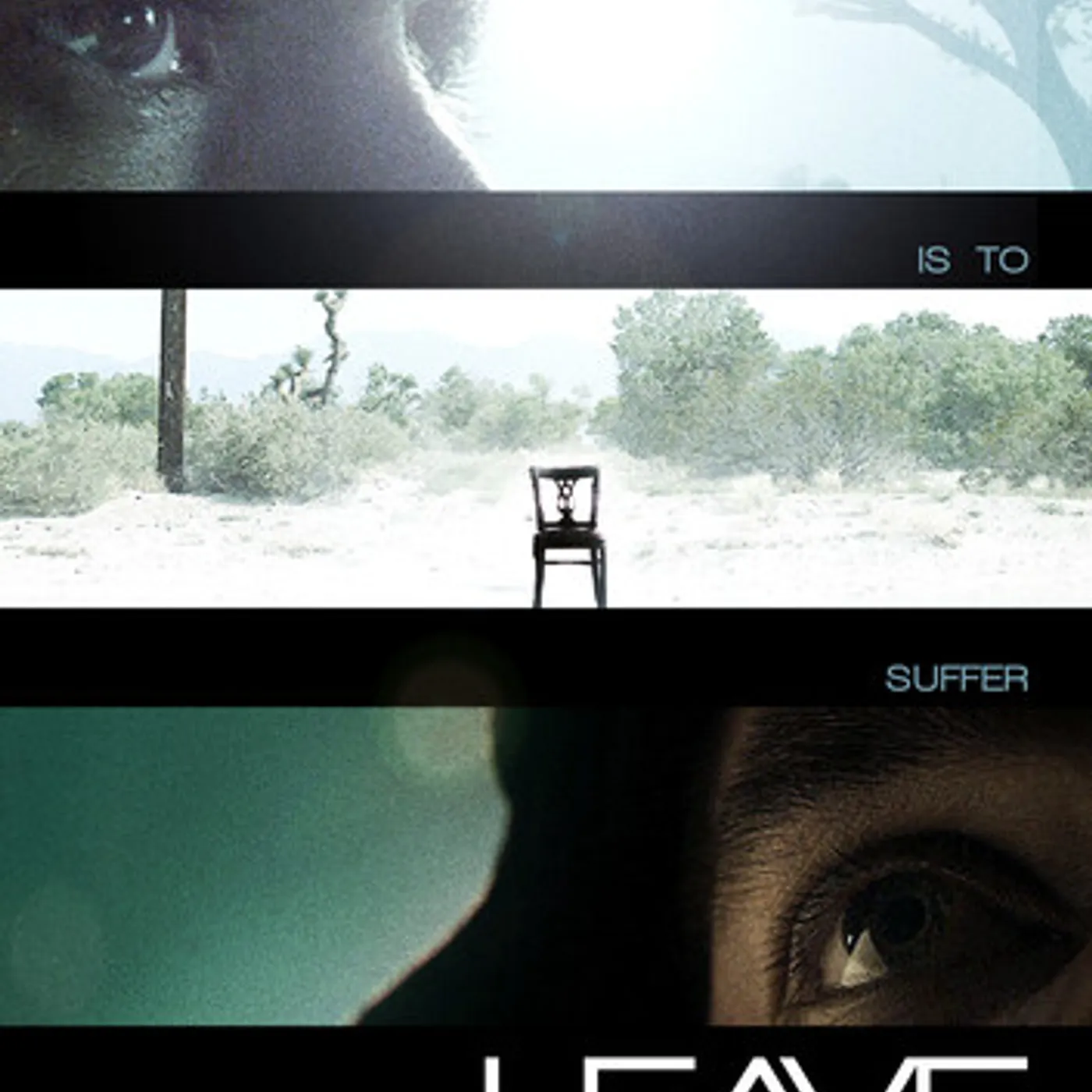Leave DVD