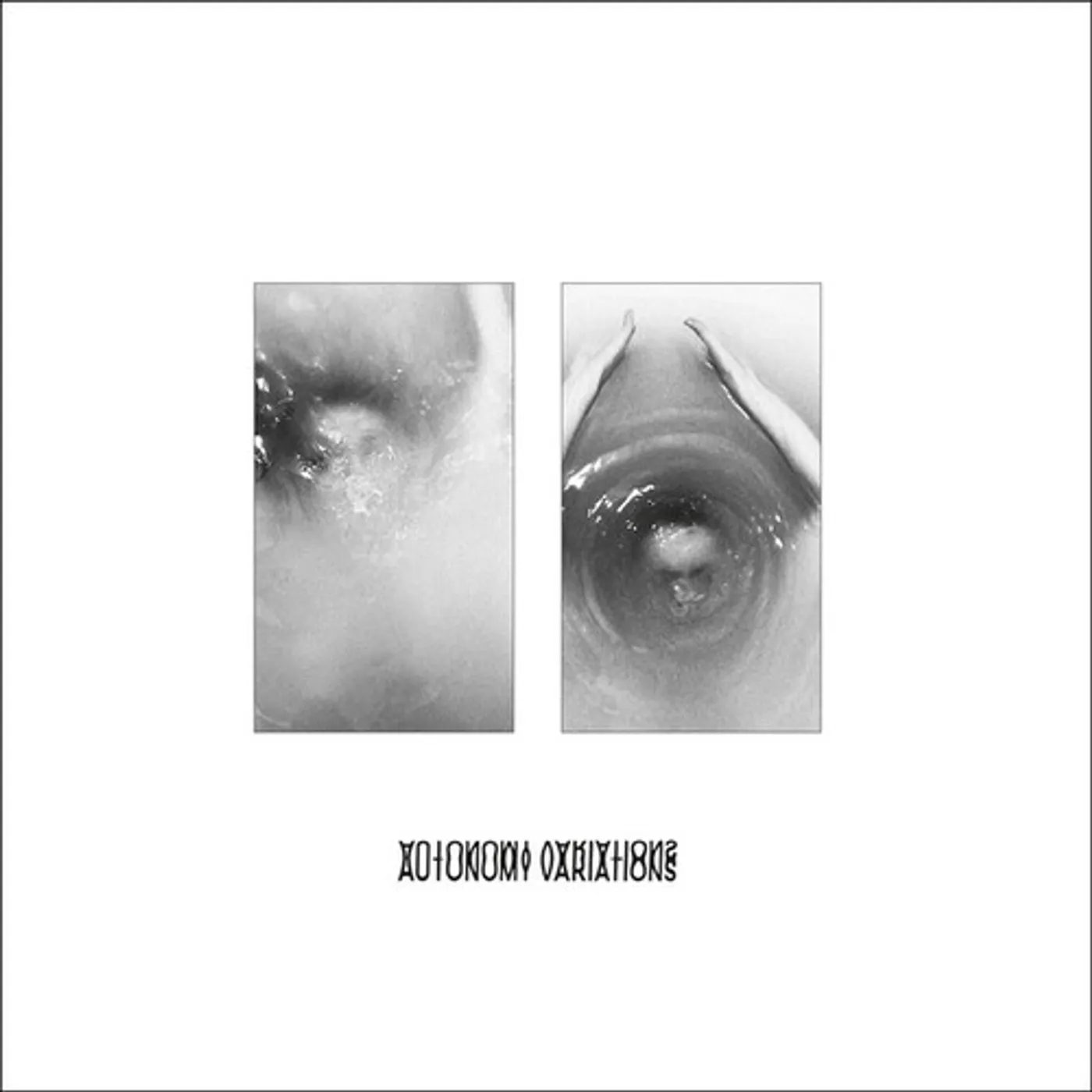 The Golden Filter Autonomy Variations Vinyl Record