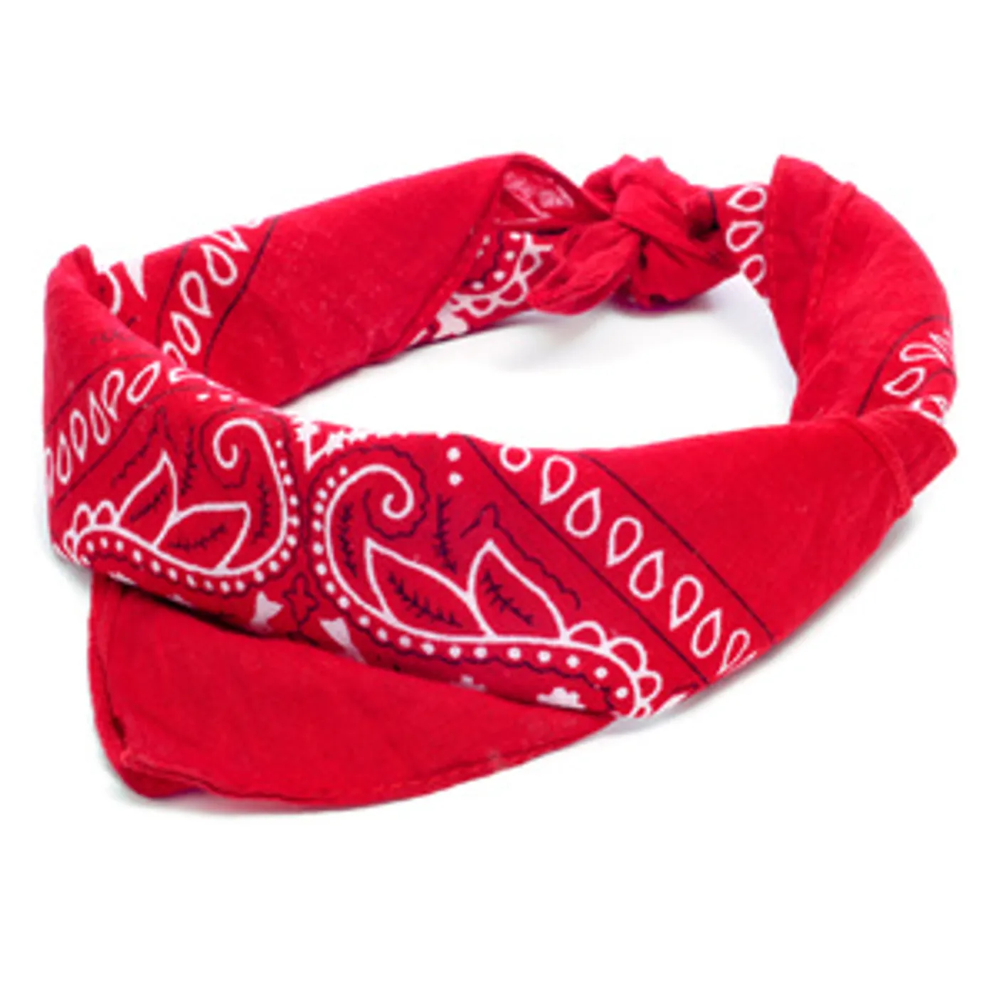 Jessica Lynne Witty Red Bandana