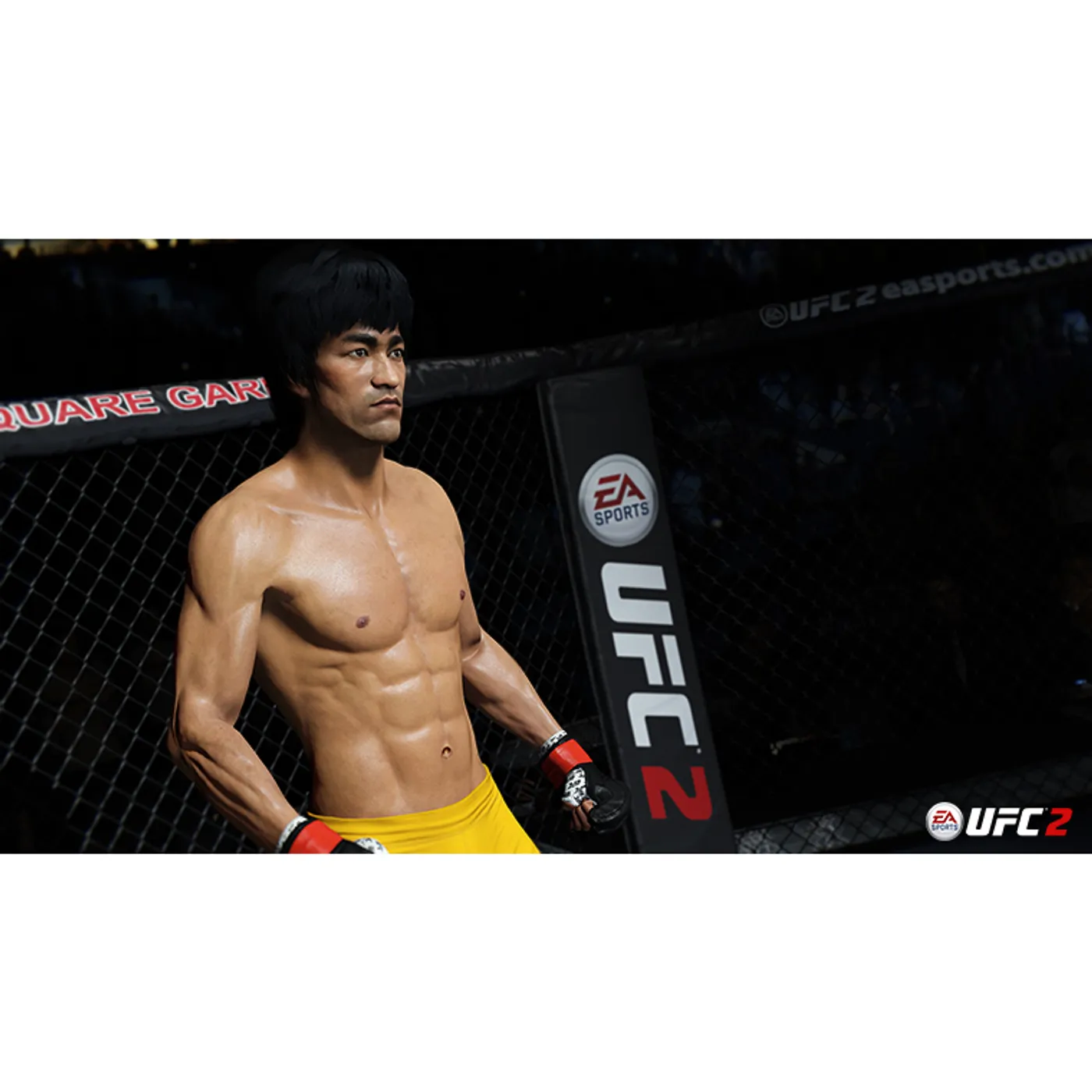 Bruce Lee EA Sports UFC 2 Deluxe Edition PS4