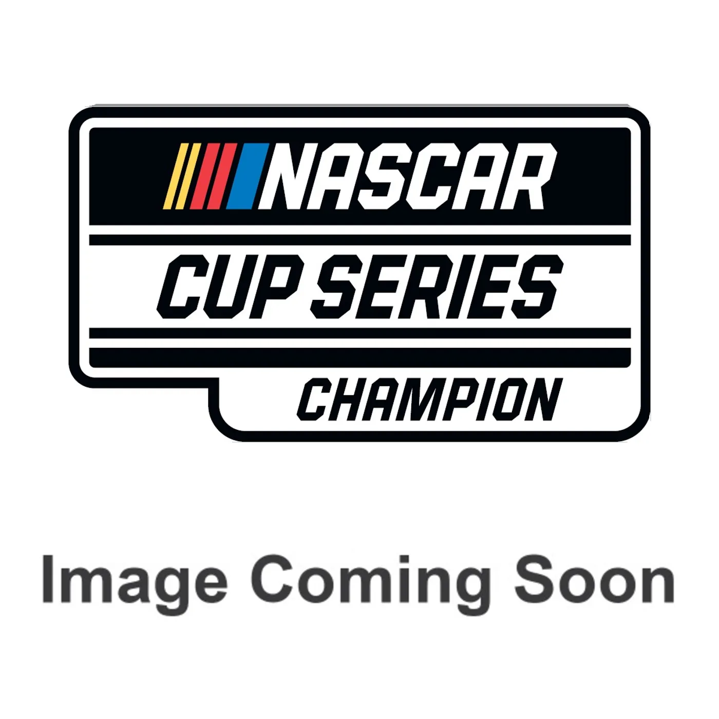 Hendrick Motorsports NASCAR 2020 Champion Round Decal 3"