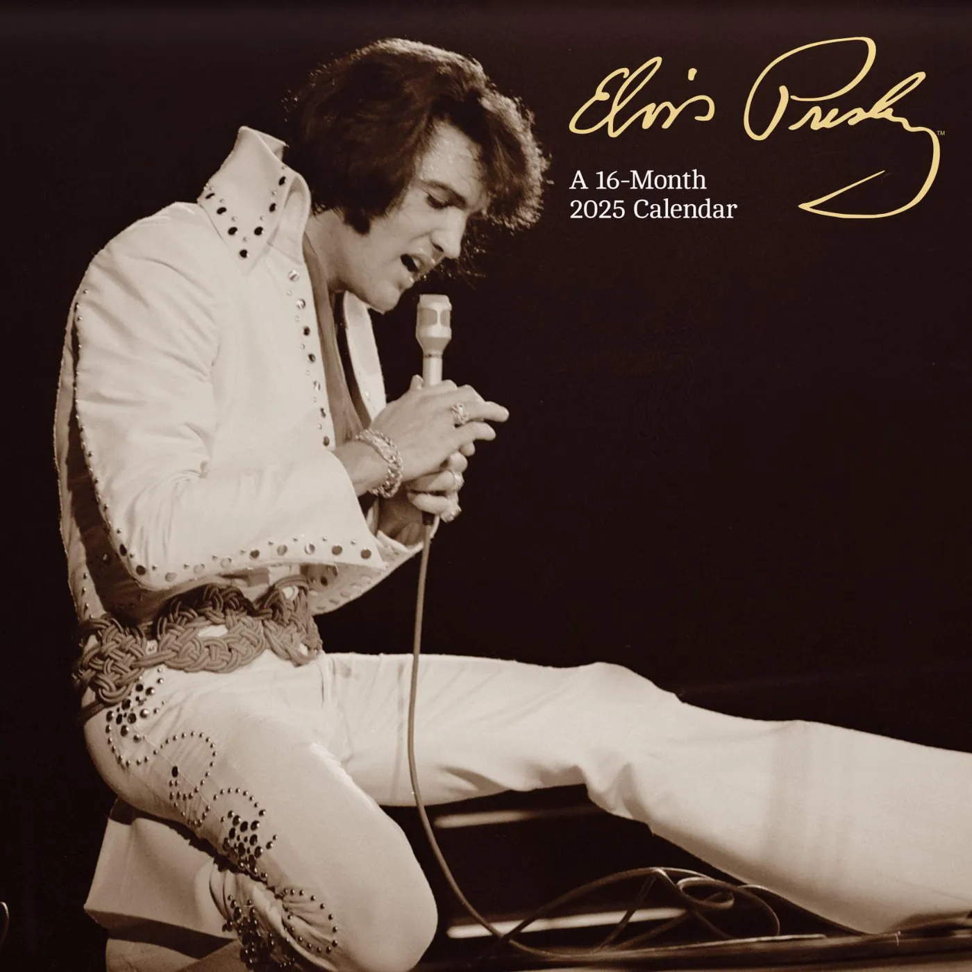 2025 Elvis Presley Mini Wall Calendar
