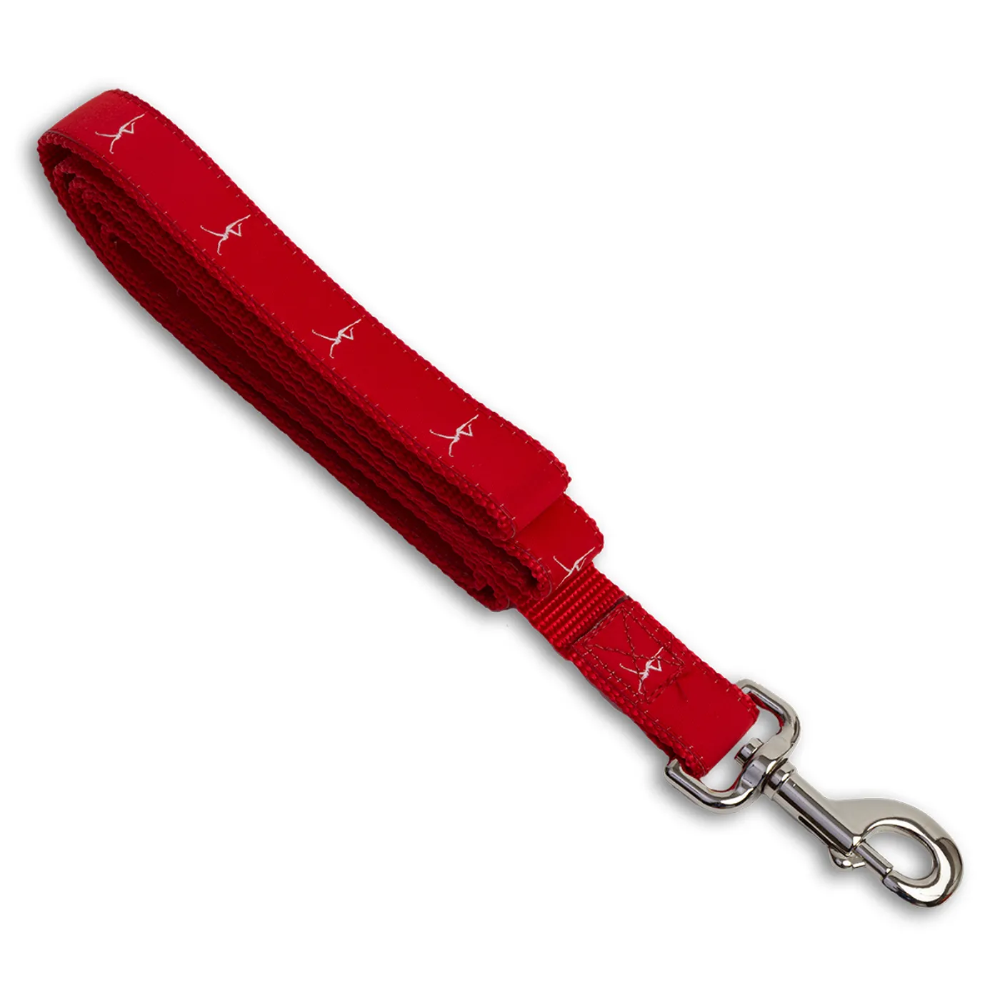 Dave Matthews Band Firedancer Dog Leash