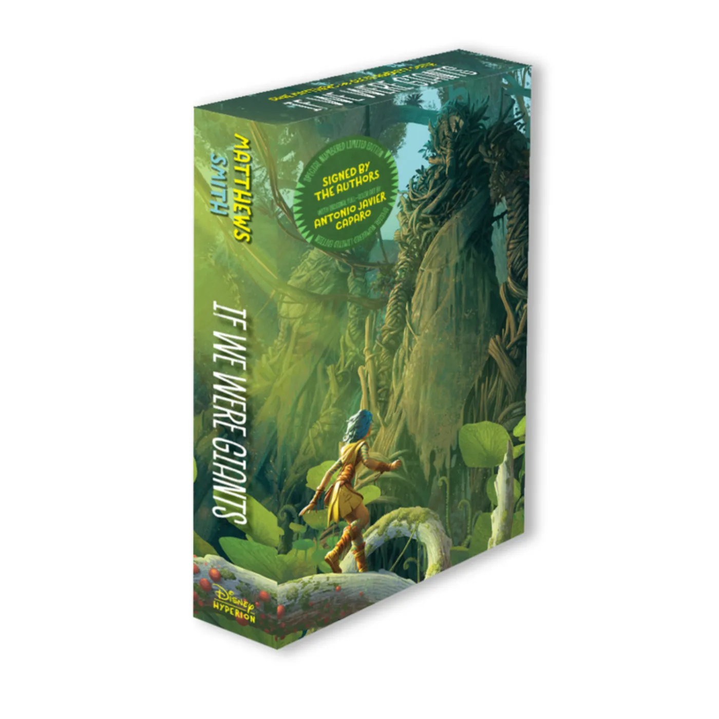 Dave Matthews Band If We Were Giants Special Limited Edition (slipcase and signed by the authors)