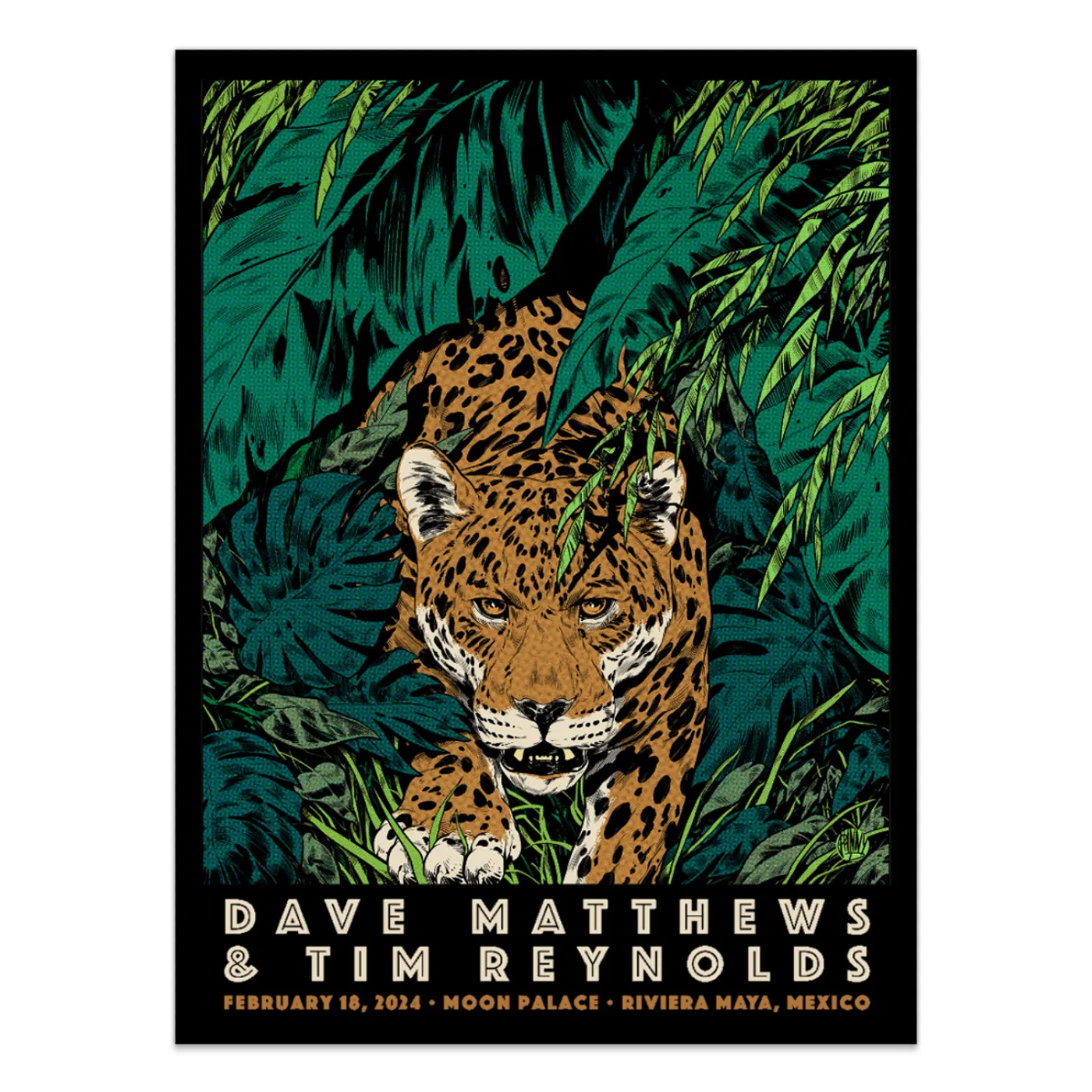 Dave Matthews Band Show Poster Cancun, Mexico 2/18/2024