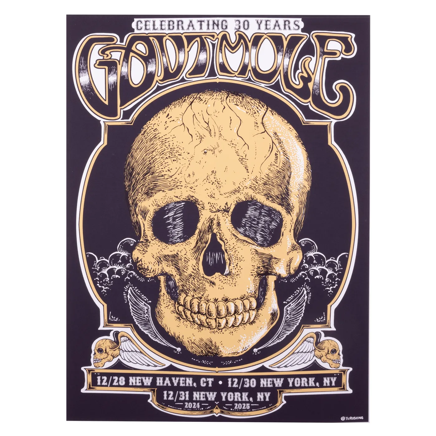Gov't Mule NEW YEARS RUN 2024-2025 POSTER - T. RUSHING