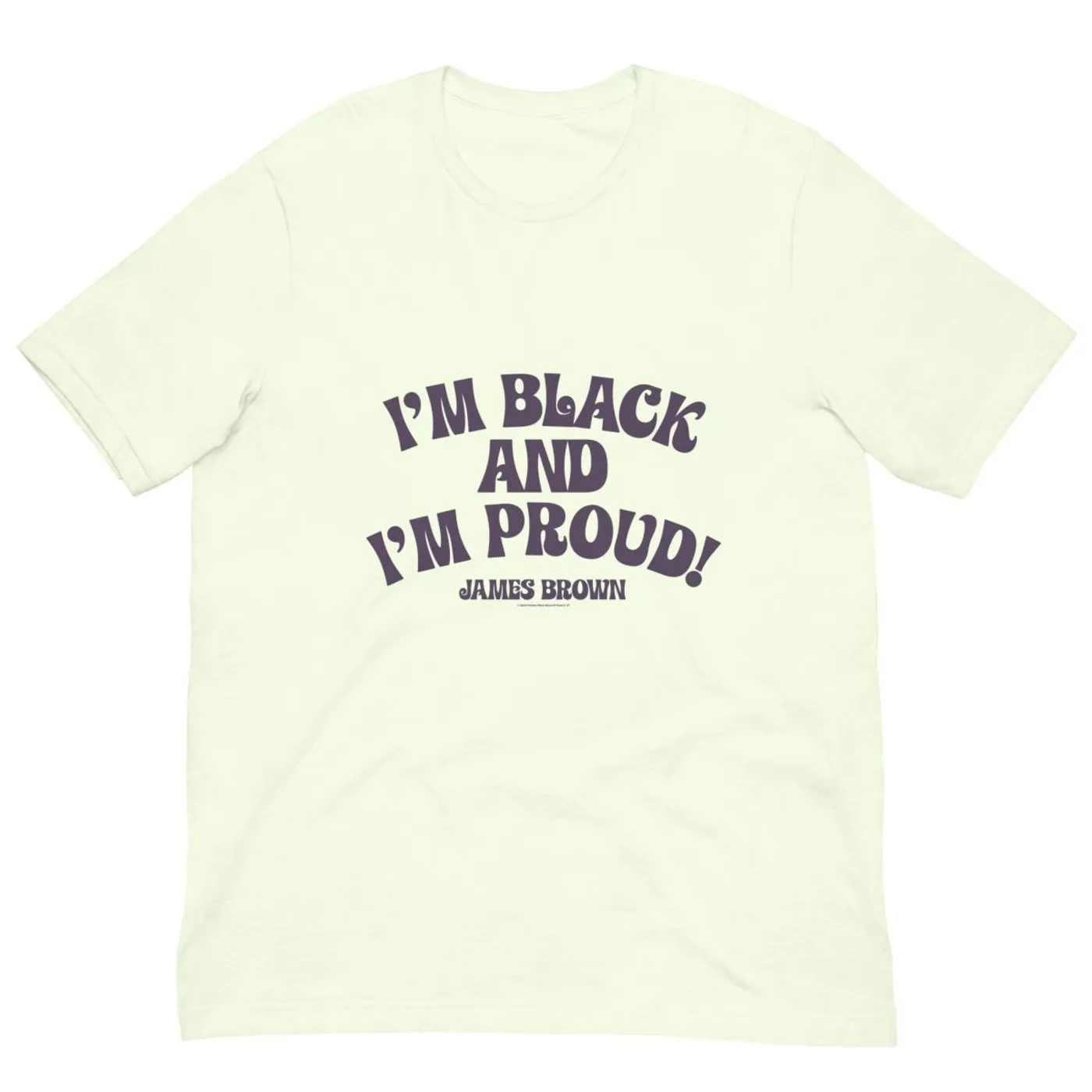 James Brown I'm Black and I'm Proud T-Shirt
