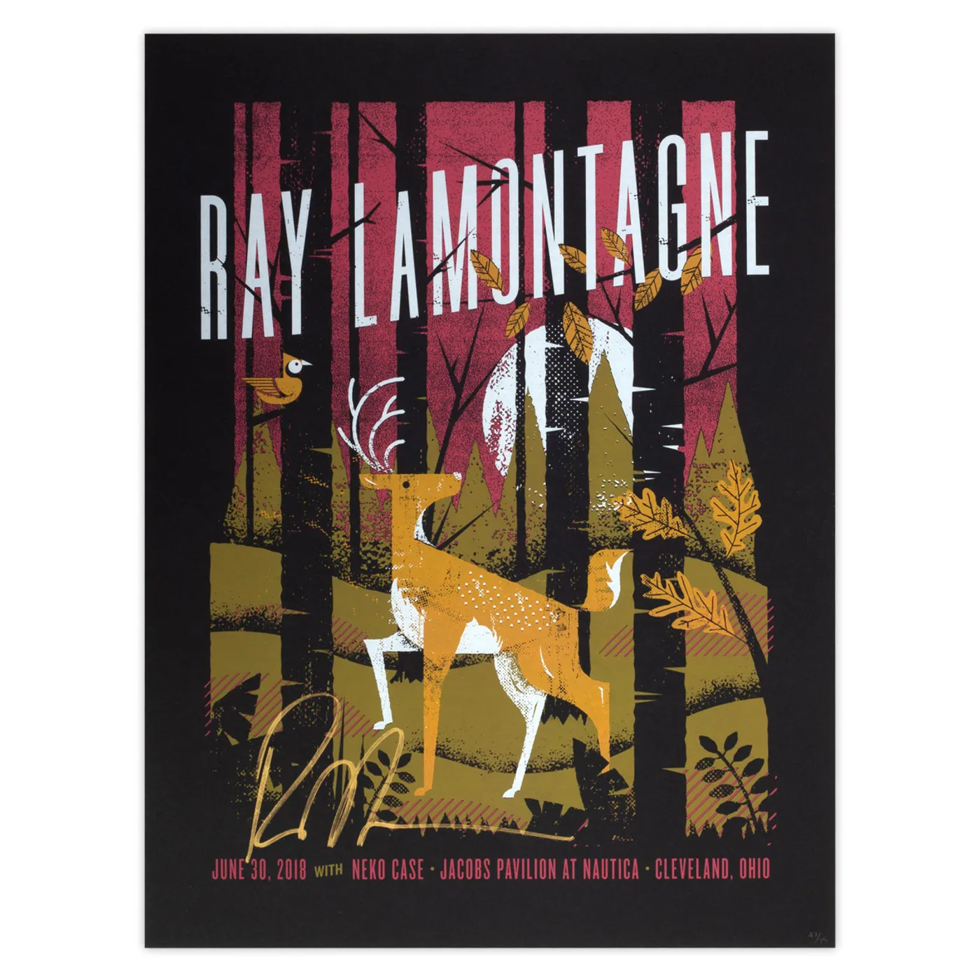 Ray LaMontagne Part Of The Light Tour 2018 - 6/30 Cleveland, OH Poster