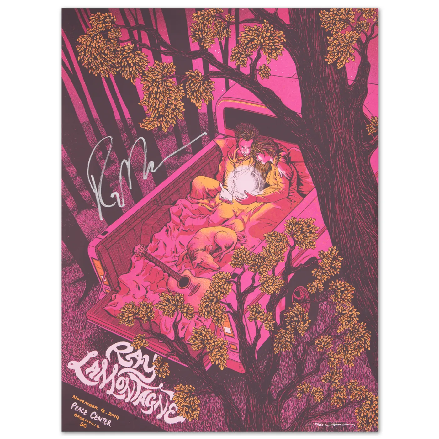 Ray LaMontagne 2014 Greenville,  South Carolina Event Poster