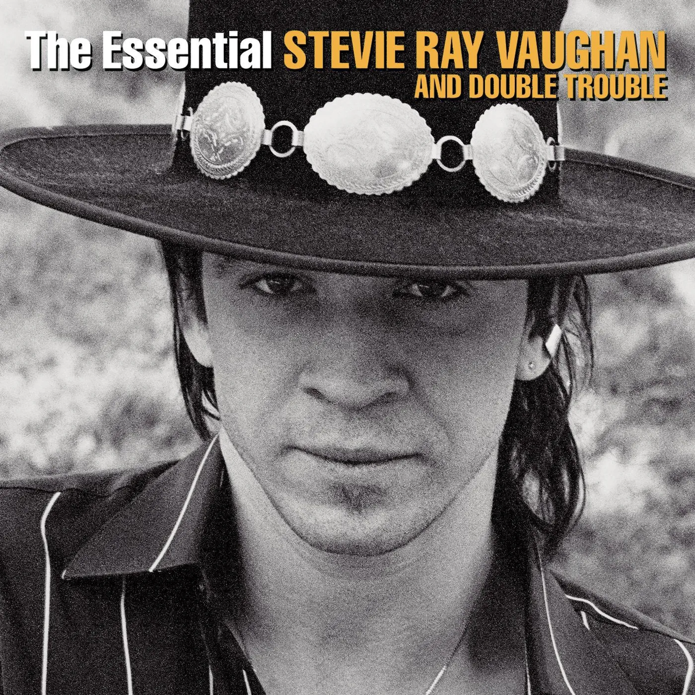 The Essential Stevie Ray Vaughan And Double Trouble CD