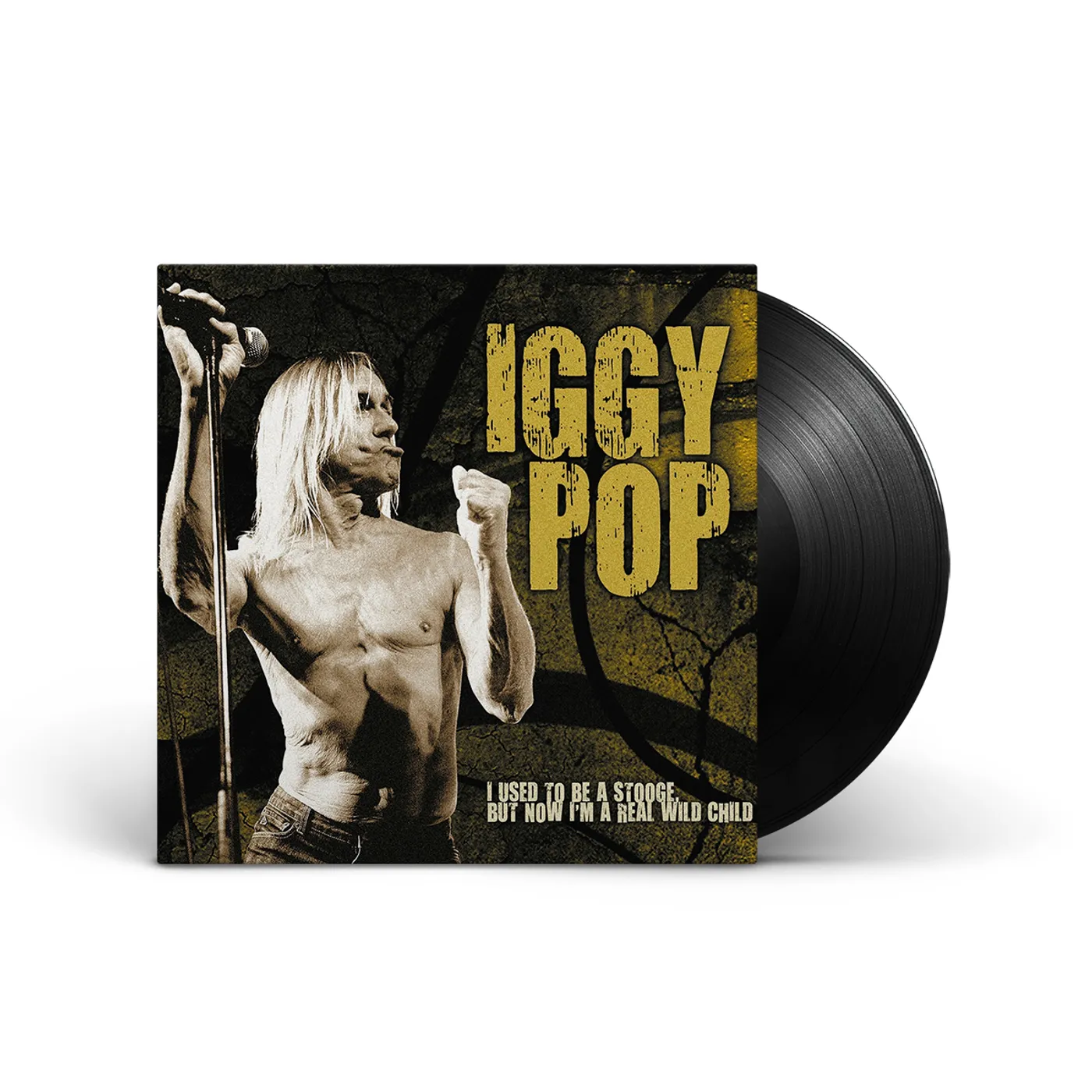 Iggy and the Stooges Iggy Pop: I Used To Be A Stooge Vinyl LP