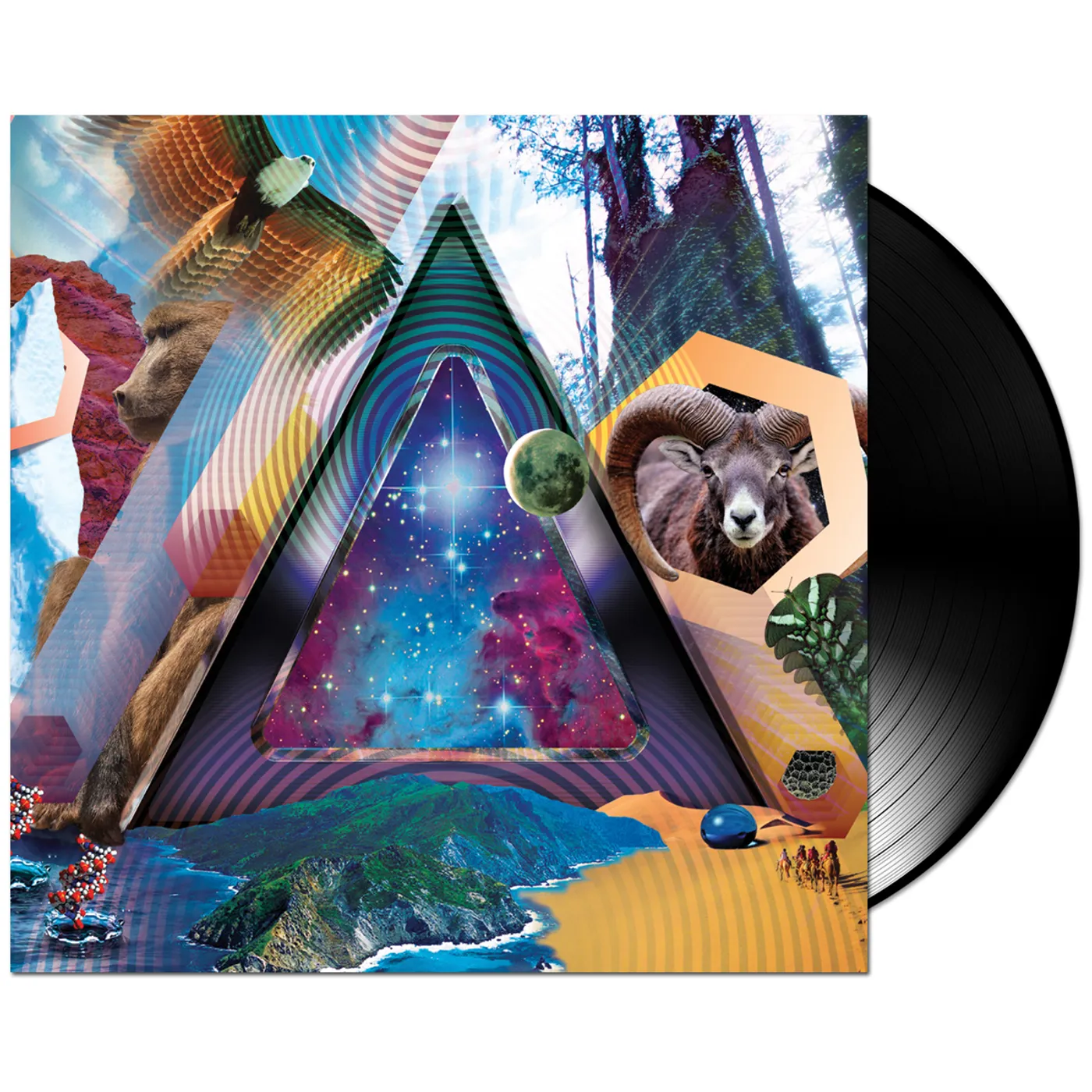 311 – Universal Pulse LP (Vinyl)