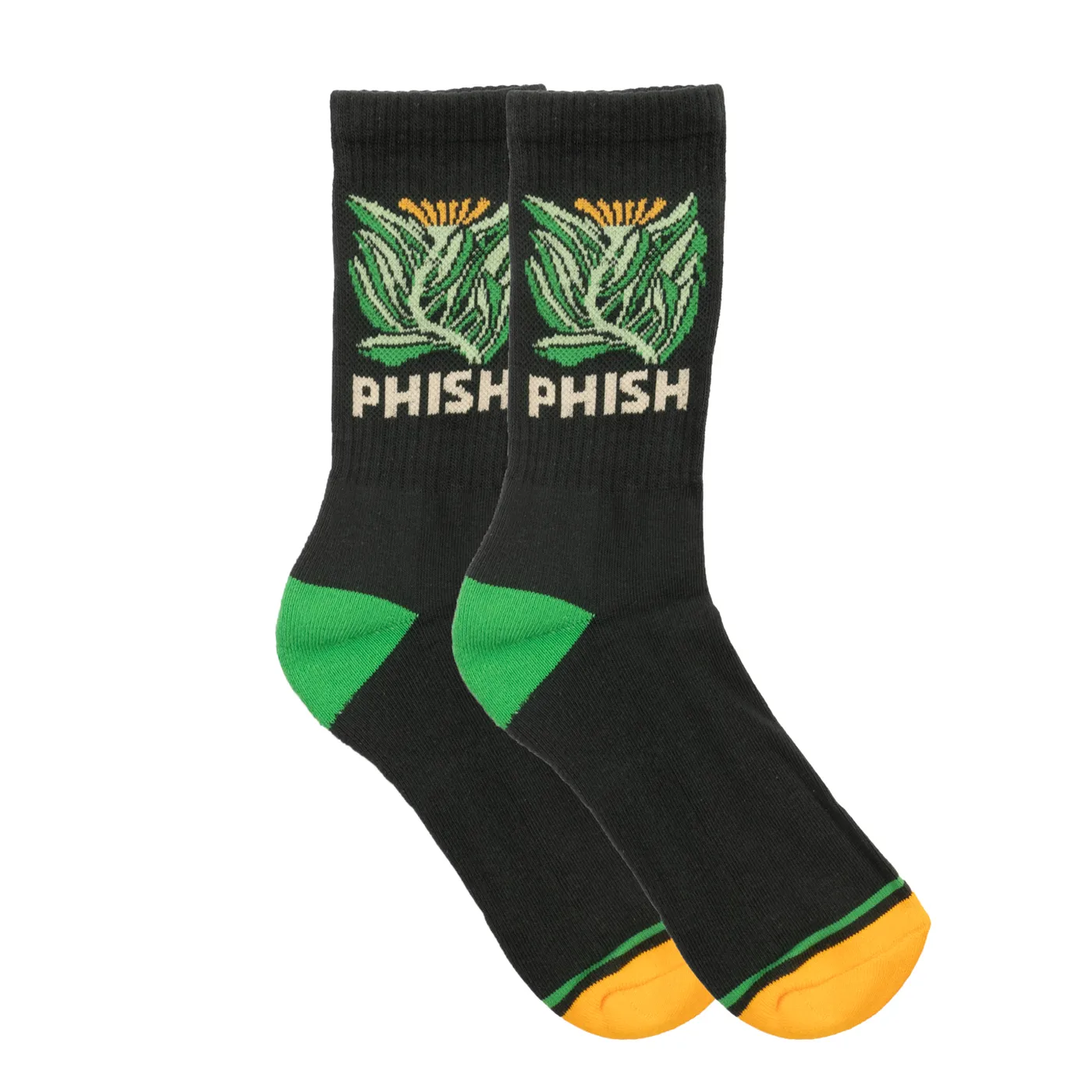 Phish Spring Tour 2025 Plant Life Socks