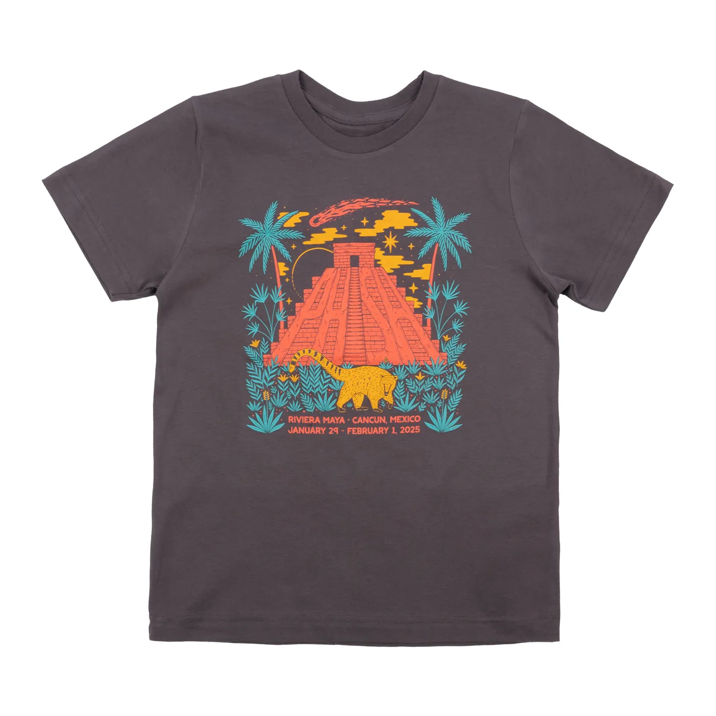 Phish Kids Coati Asteroid Discovery Tee on Ash Grey