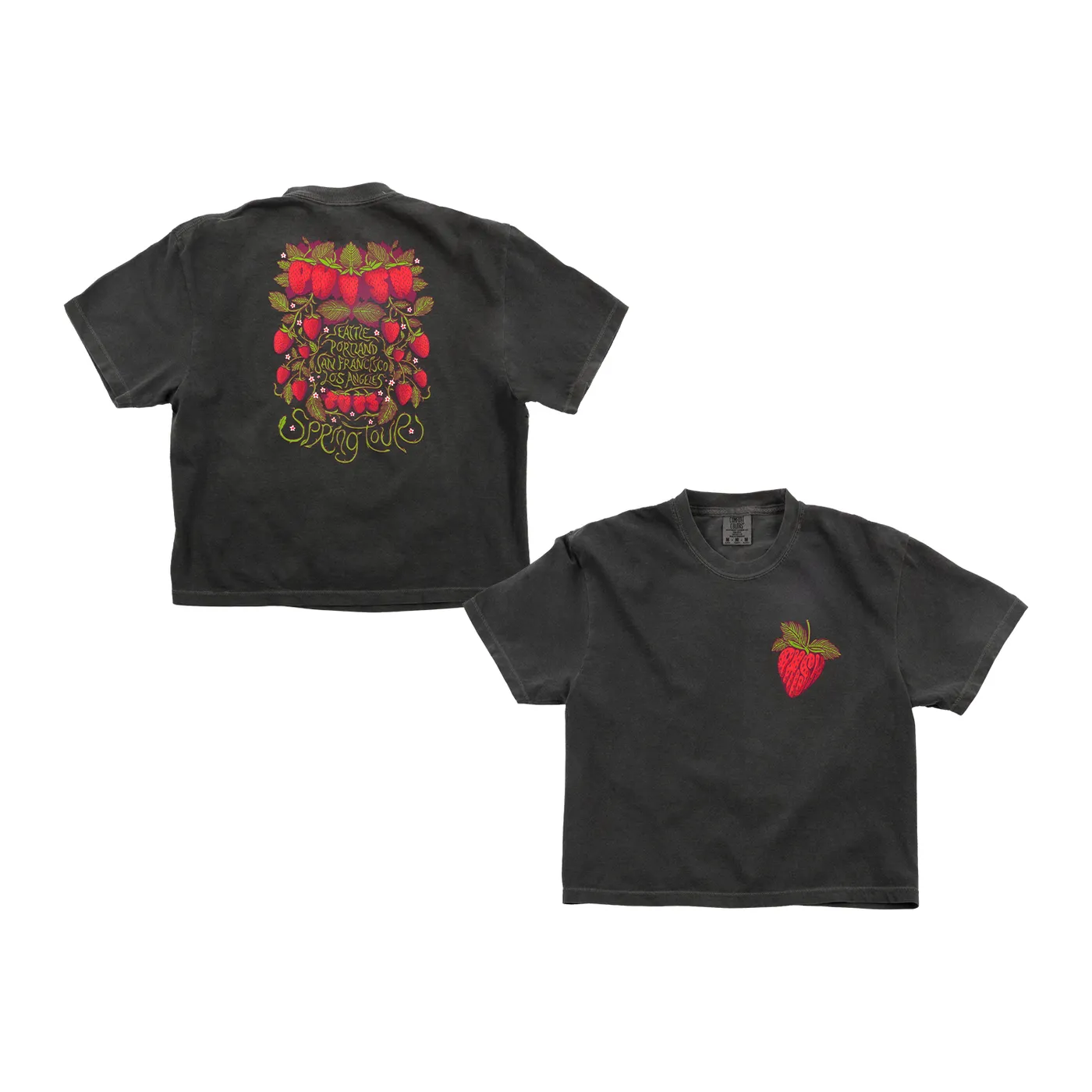 Phish Womens Strawberry Jam Spring Tour Boxy Tee
