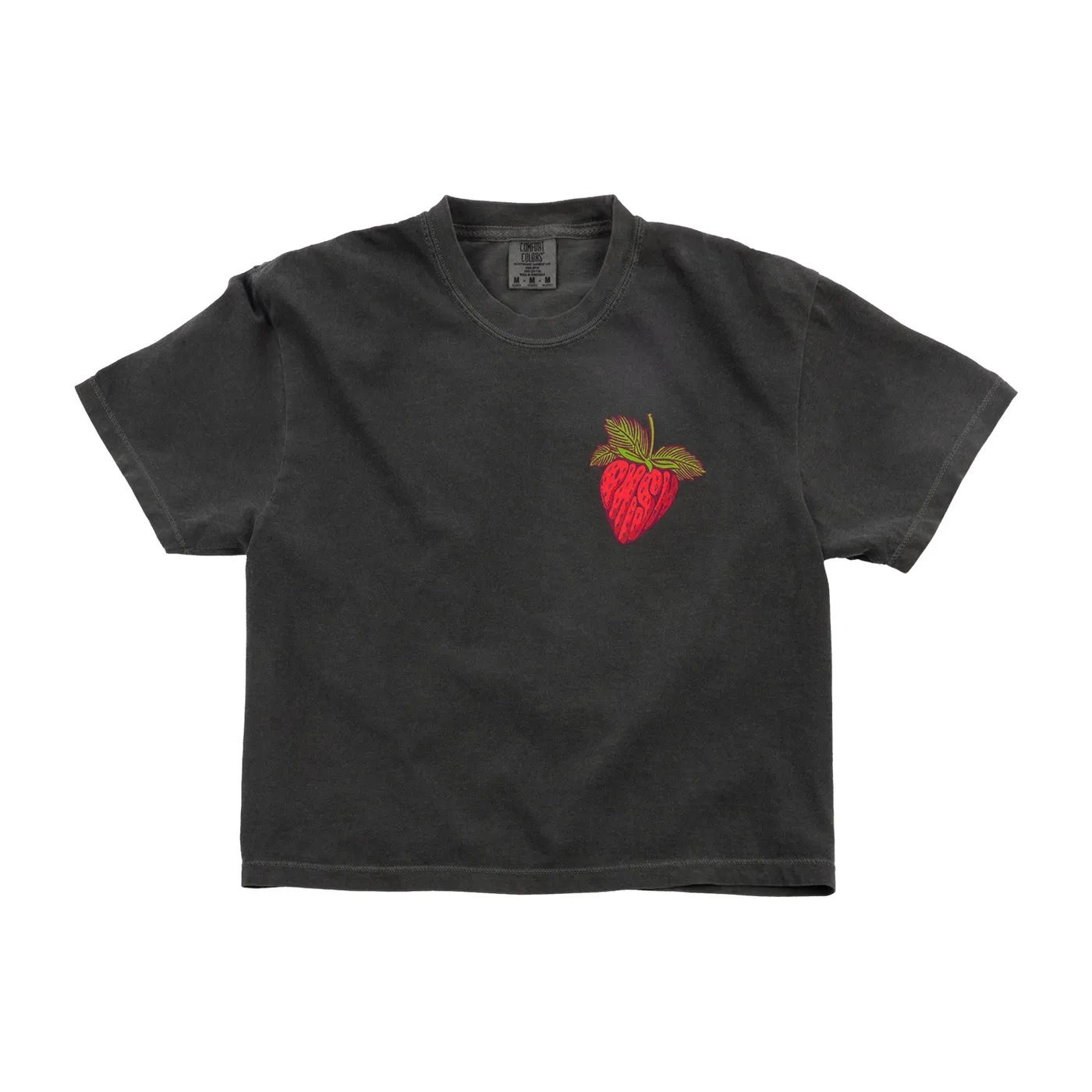 Phish Womens Strawberry Jam Spring Tour Boxy Tee