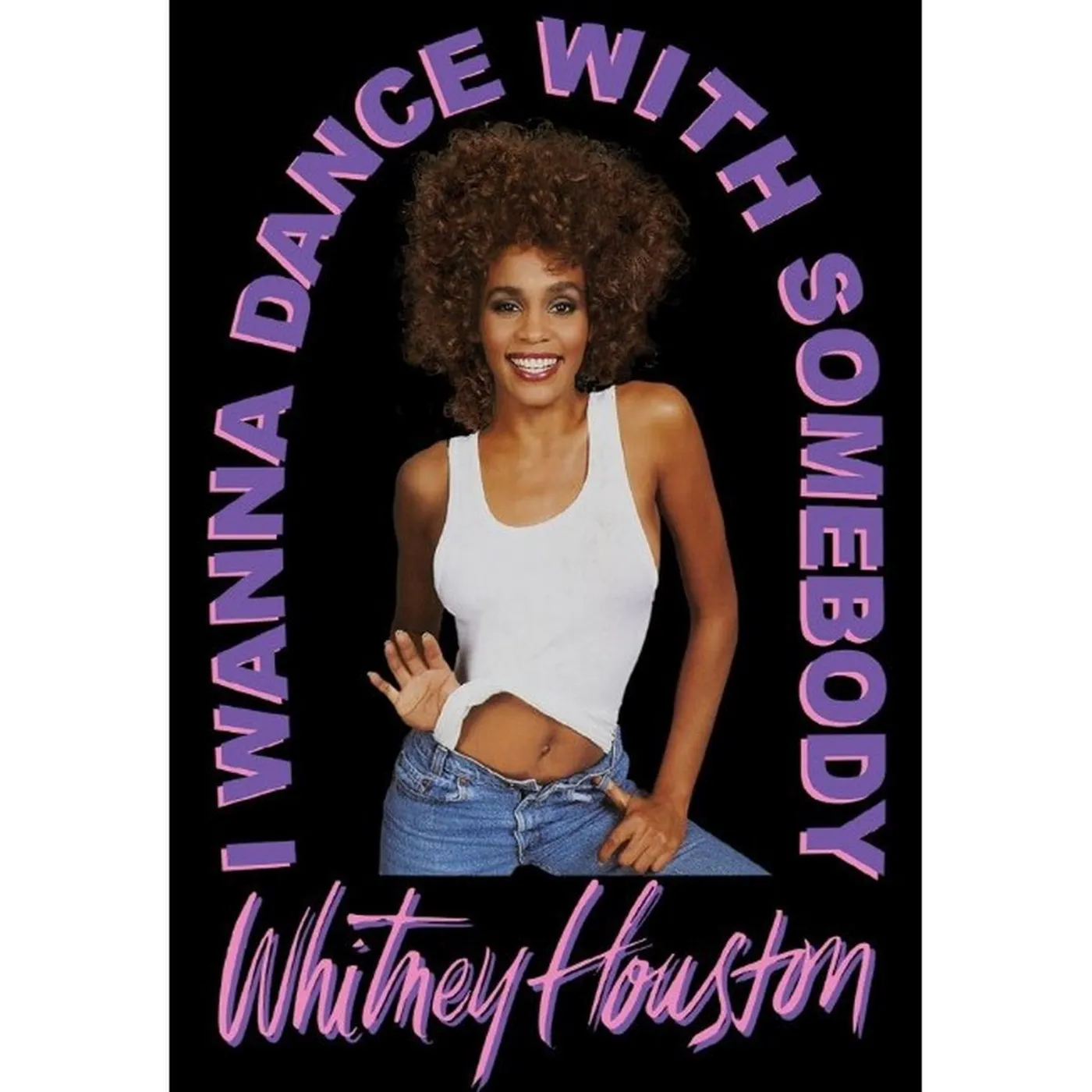 Whitney Houston I Wanna Dance 2x3" Magnet