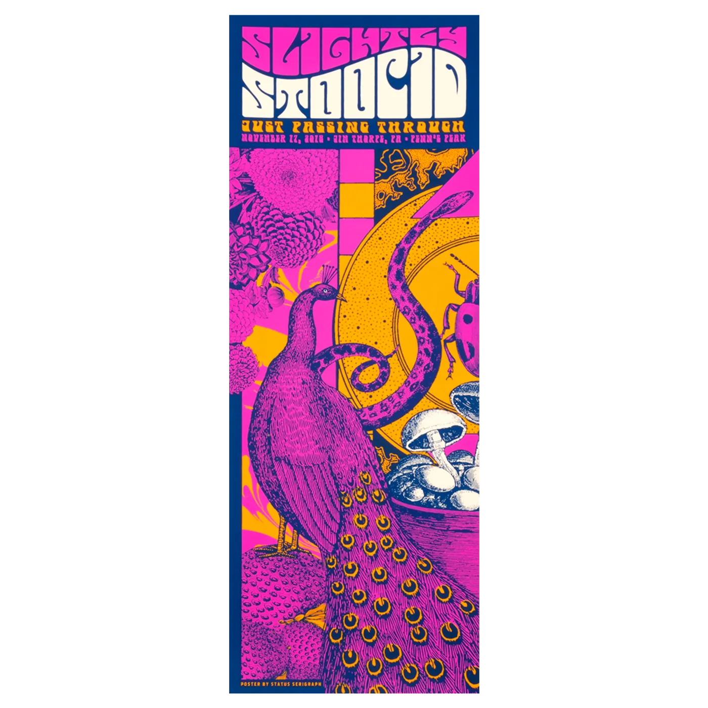 Slightly Stoopid Jim Thorpe, PA 2018 Poster