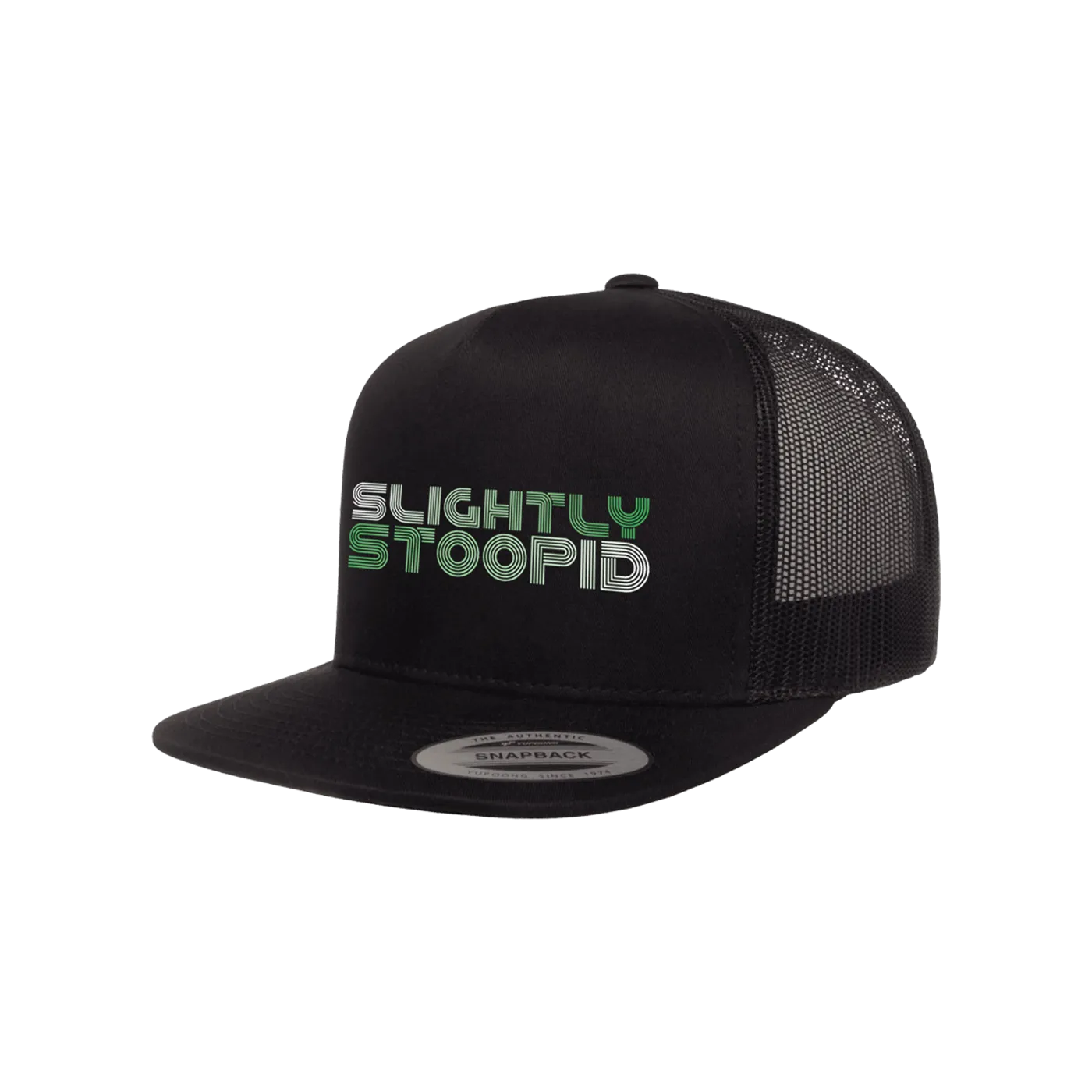 Slightly Stoopid Acoustic Roots Snapback Hat