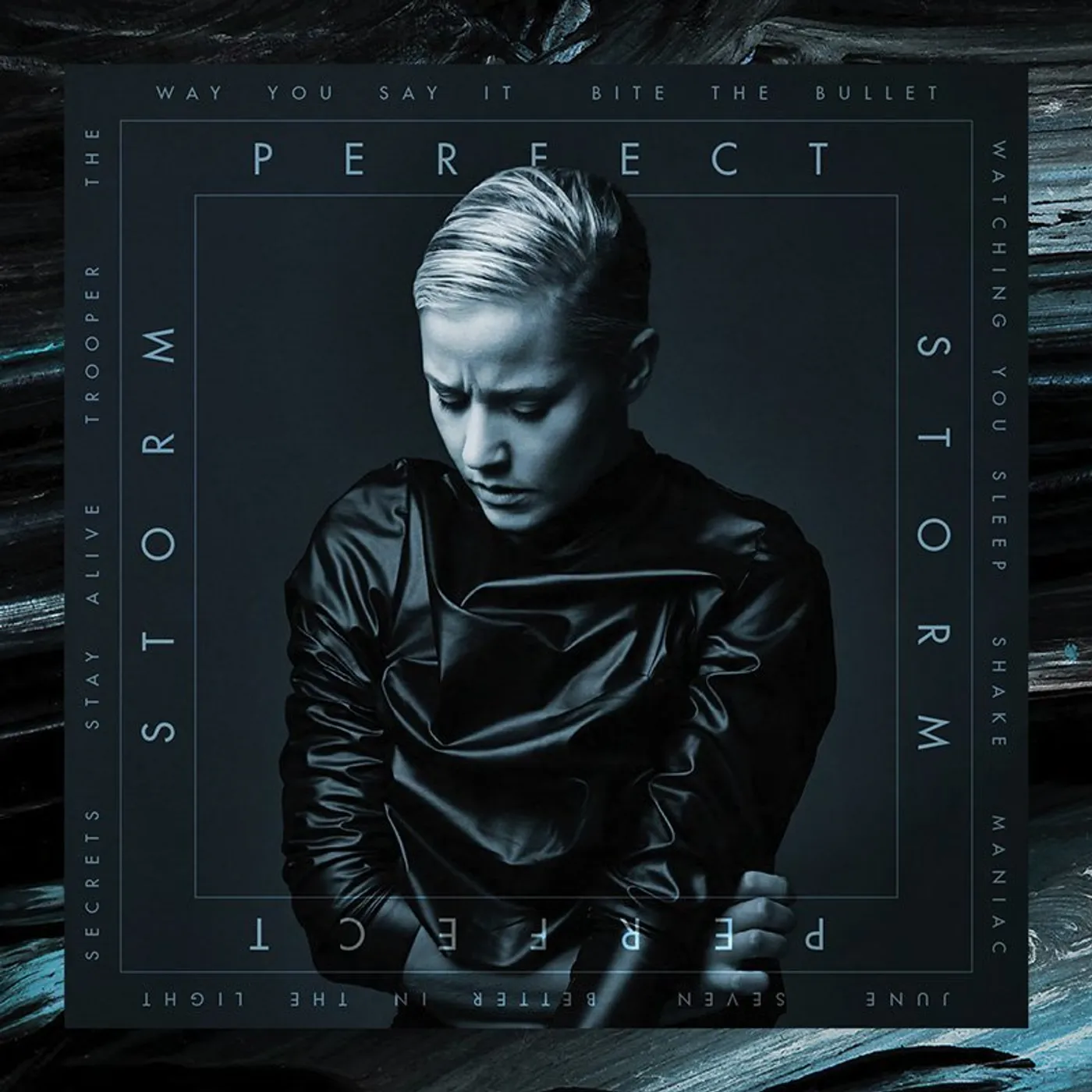 Vanbot Perfect Storm, 2015 - (CD)