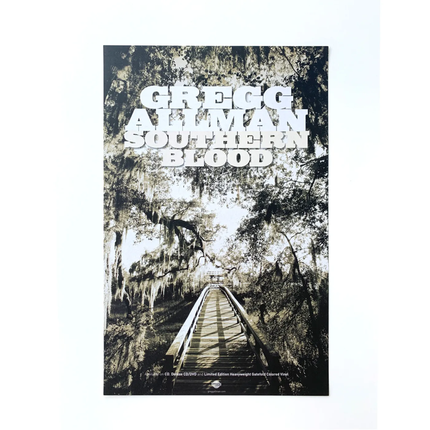 Gregg Allman Southern Blood Poster