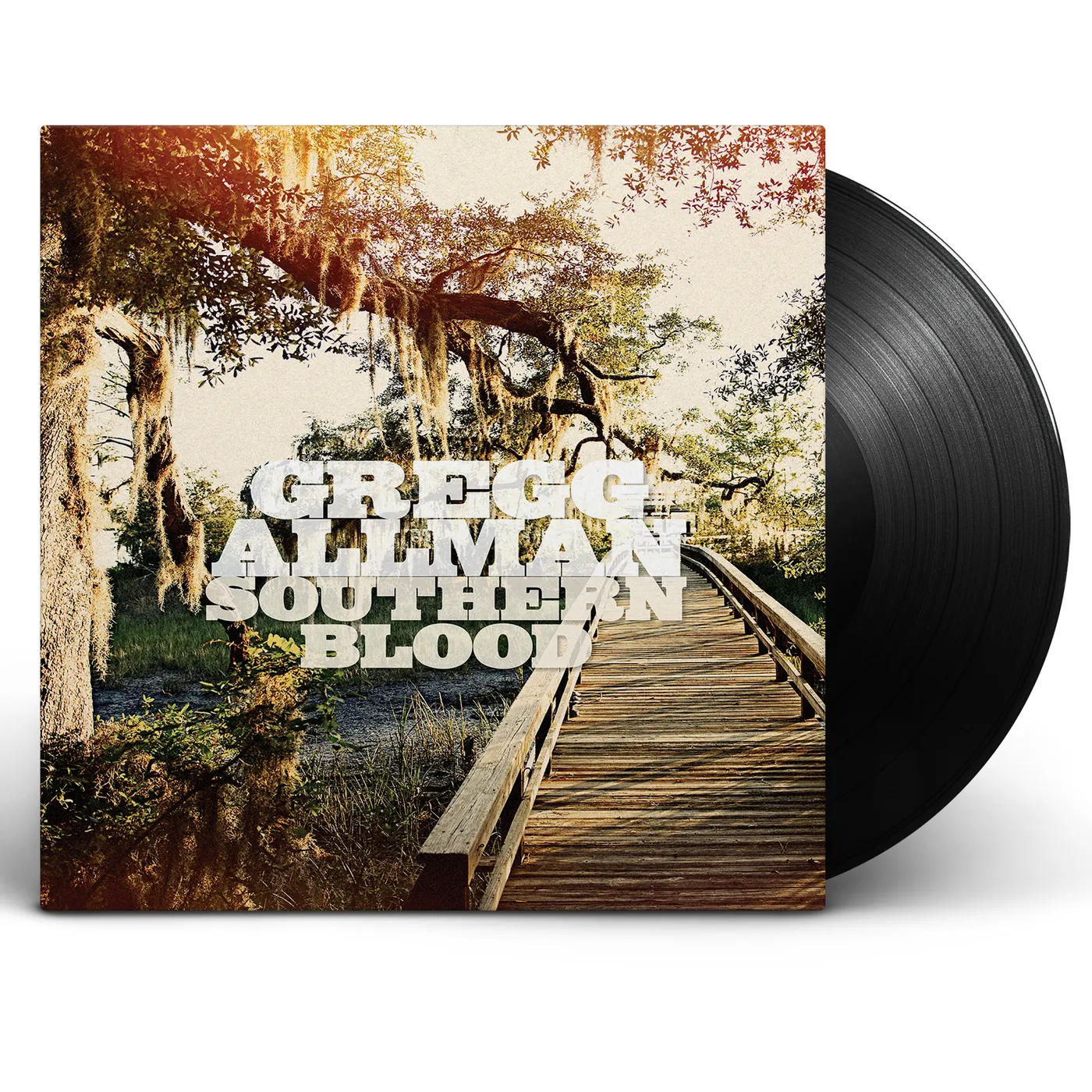 Gregg Allman Southern Blood LP (Vinyl)
