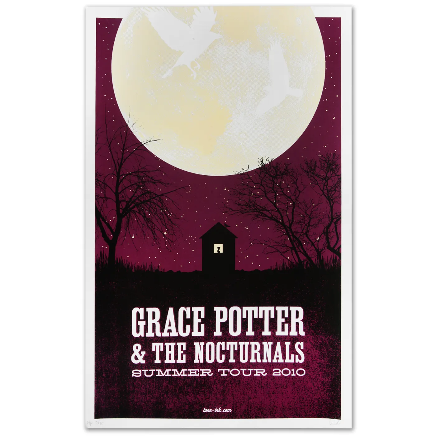 Grace Potter & The Nocturnals 2010 Summer Tour Moon Poster