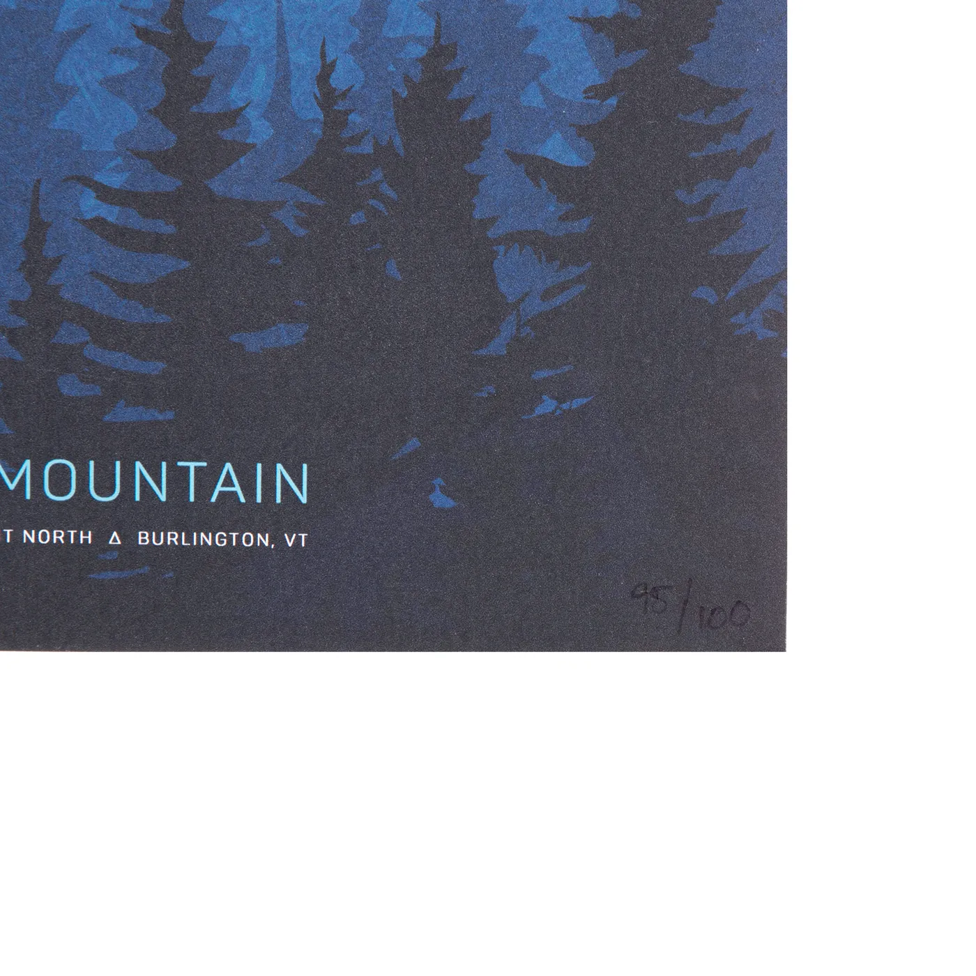 Grace Potter Dark Side Of The Mountain Poster