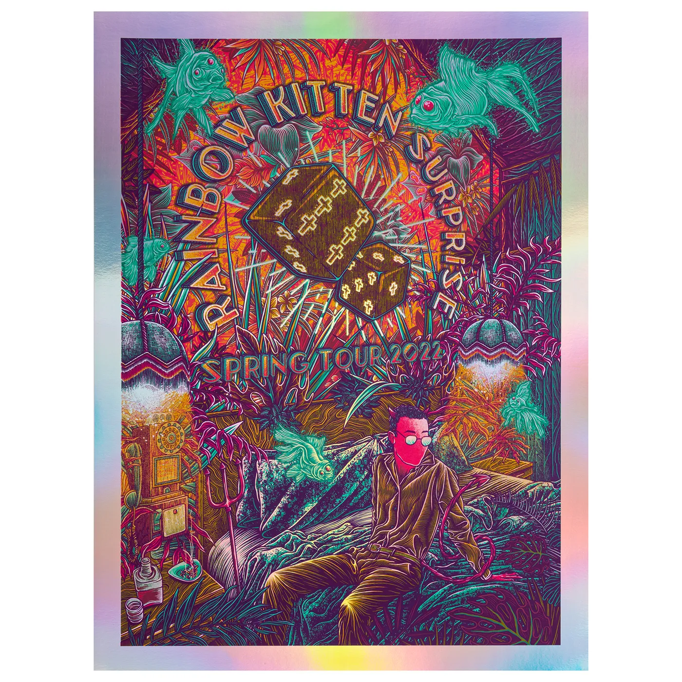 Rainbow Kitten Surprise 2022 Tour Poster
