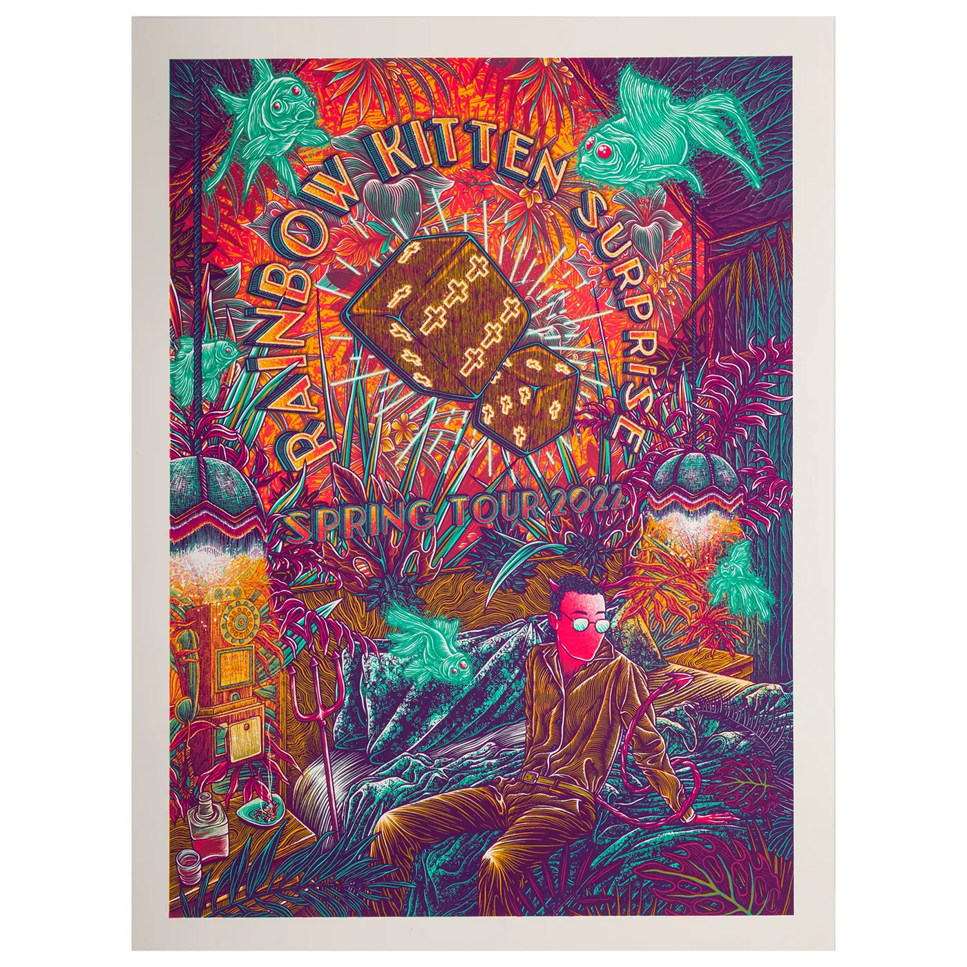 Rainbow Kitten Surprise 2022 Tour Poster