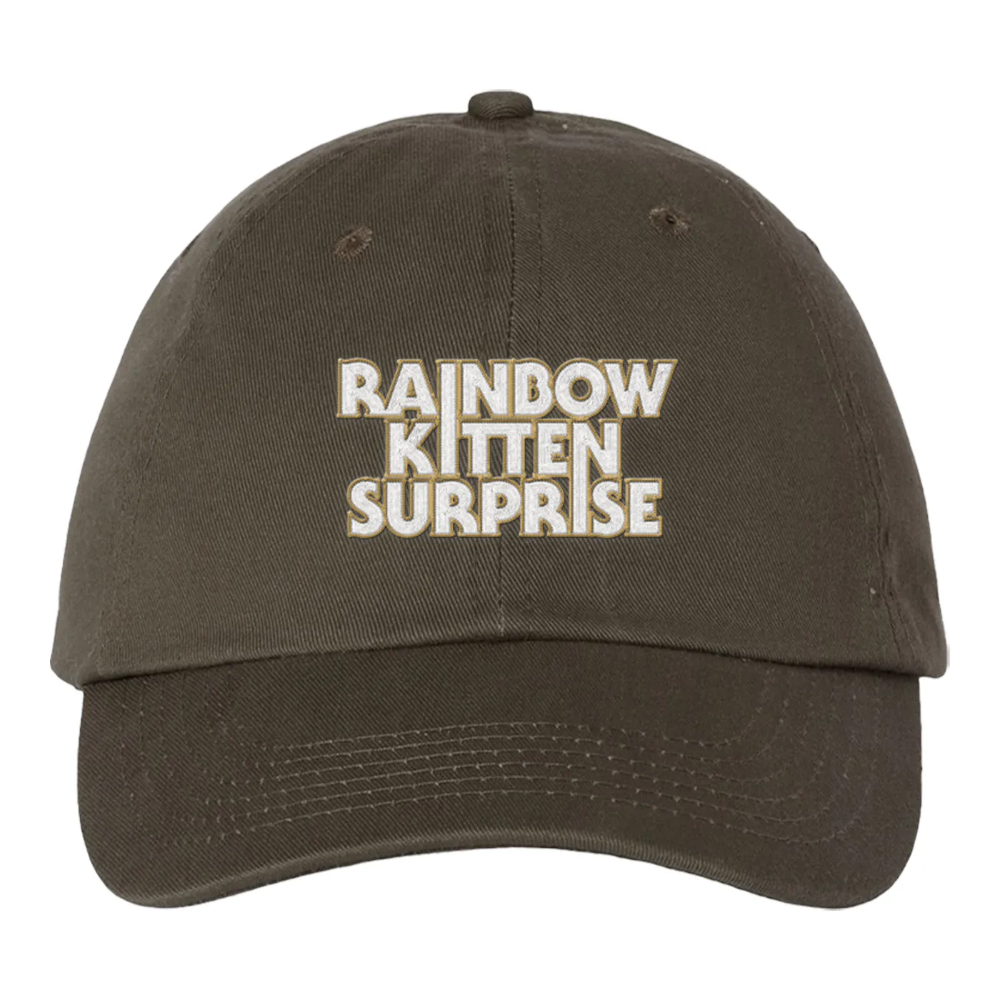 Rainbow Kitten Surprise Retro Record Store Day Hat