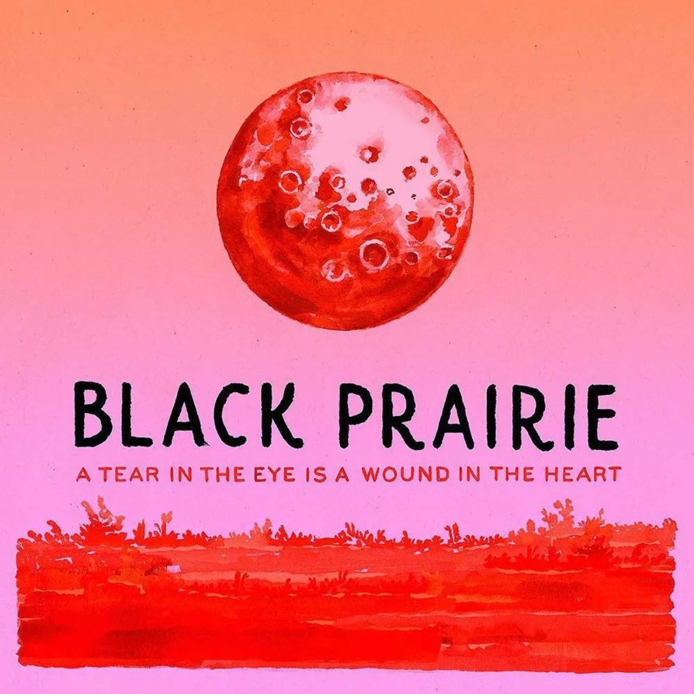The Decemberists Black Prairie 'A Tear In The Eye Is A Wound In The Heart' CD