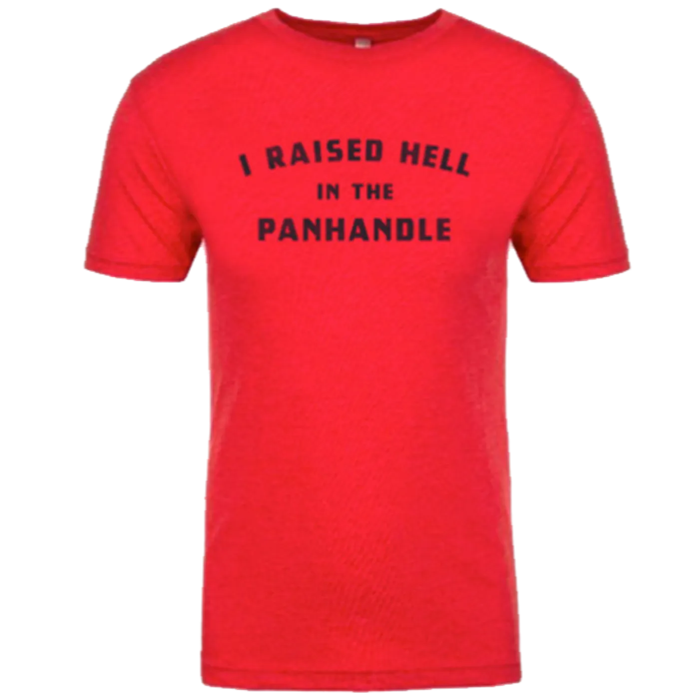 Flatland Cavalry Raised Hell In The Panhandle