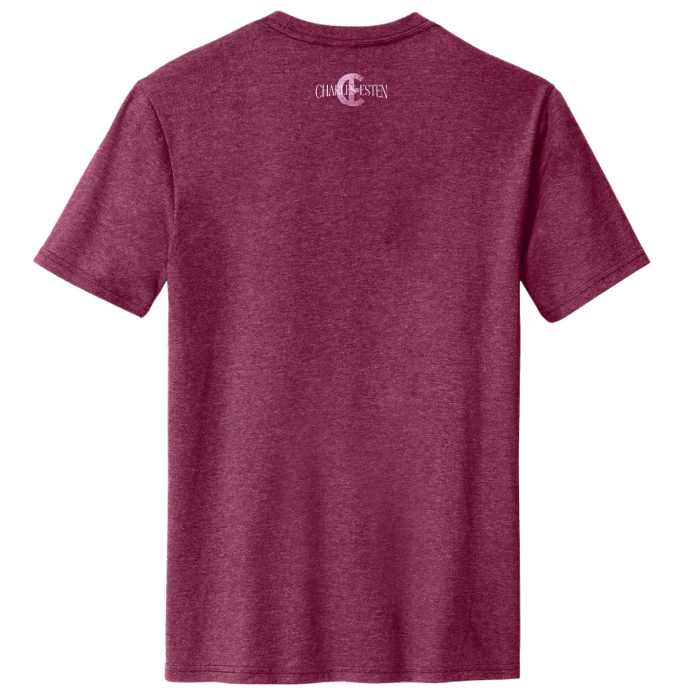 Charles Esten Raspberry Fleck Song Title Tee