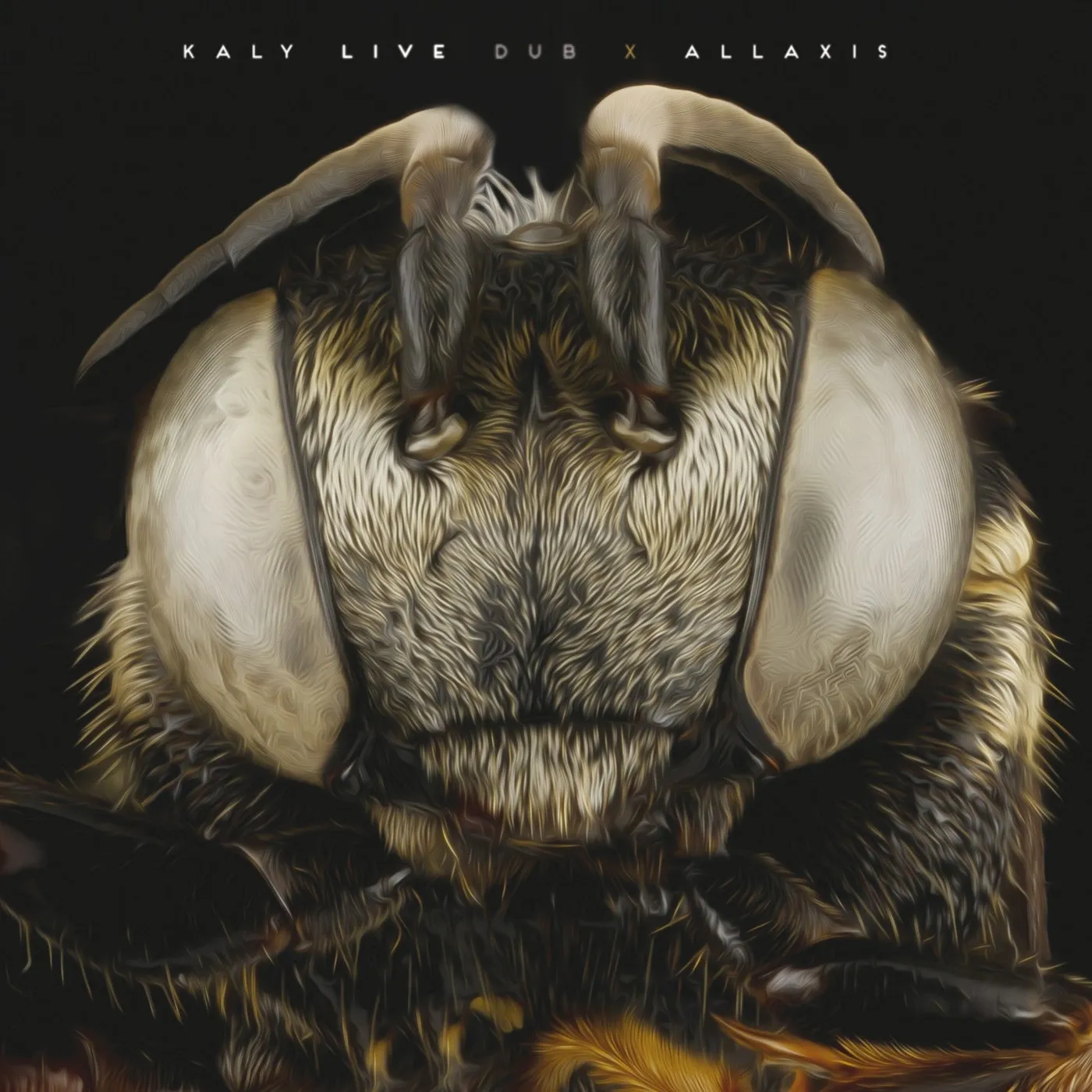 ALLAXIS - KALY LIVE DUB (DOUBLE VINYLE 33T)