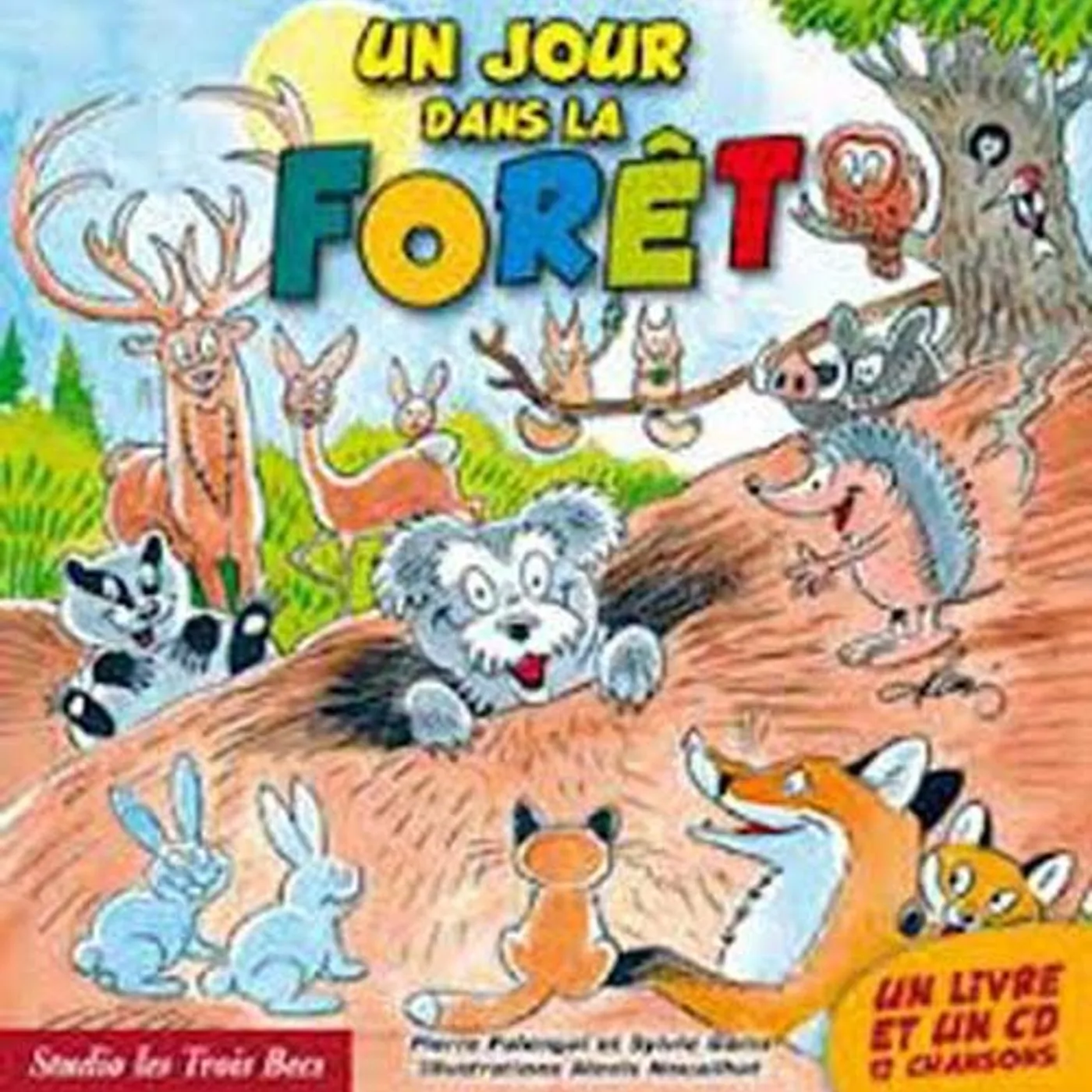 Sylvie Garin & Pierre Palengat UN JOUR DANS LA FORET - SYLVIE GARIN / PIERRE PALENGAT (LIVRE CD)