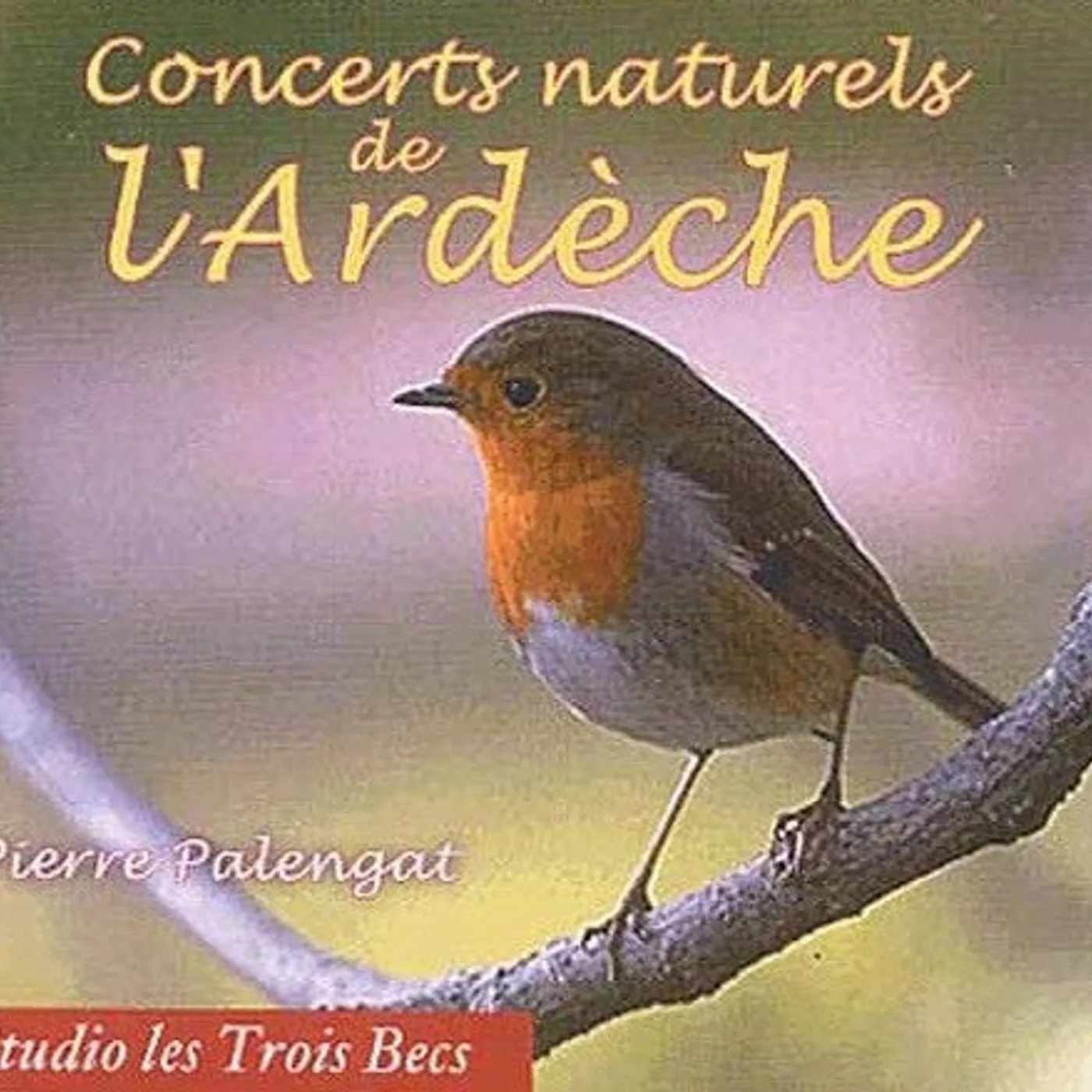 CONCERTS NATURELS DE L'ARDÈCHE - PIERRE PALENGAT (CD)