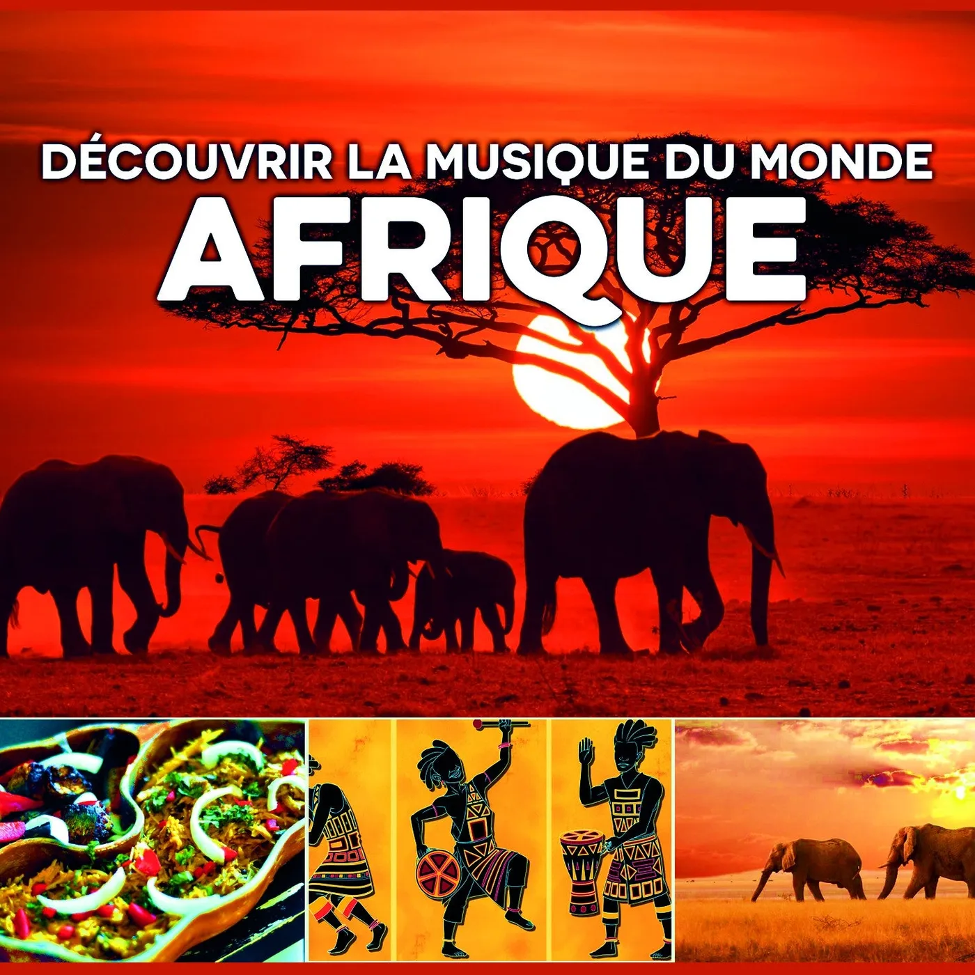 Multi-artistes DÉCOUVRIR LA MUSIQUE DU MONDE, AFRIQUE - MULTI ARTISTES (CD)