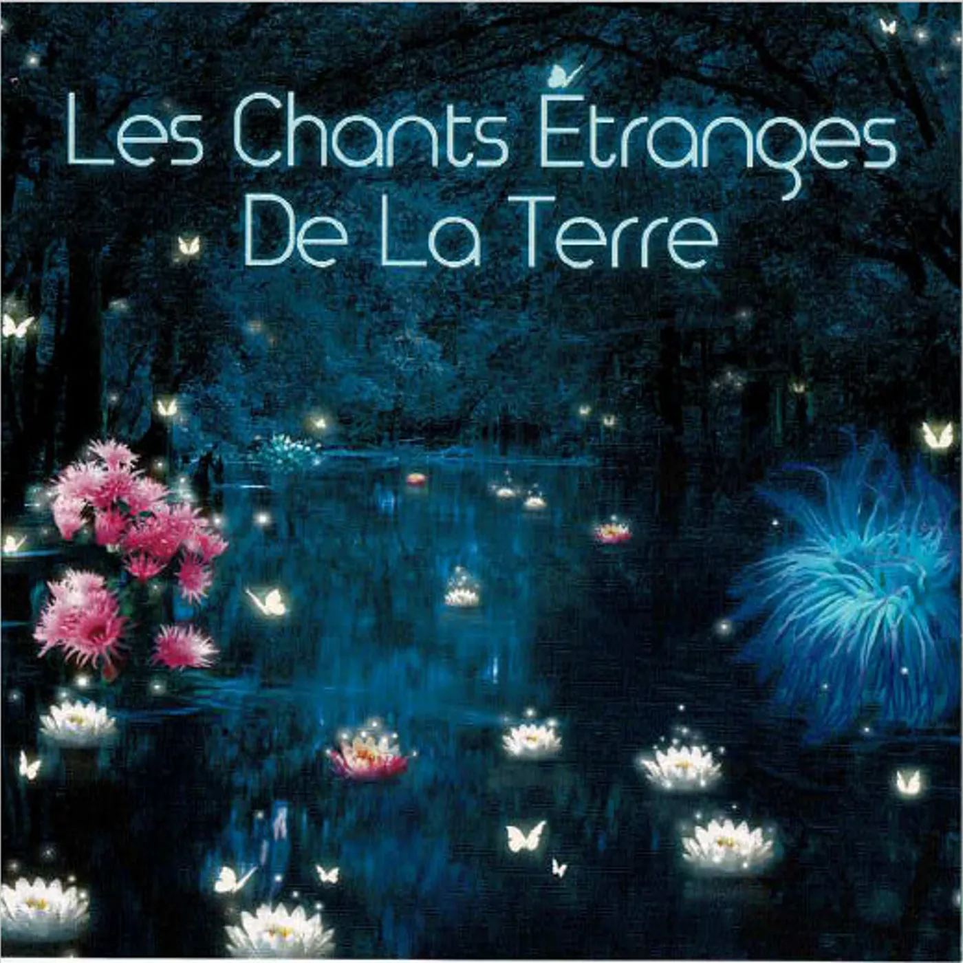 LES CHANTS ÉTRANGES DE LA TERRE - TONY QUIMBEL (CD)