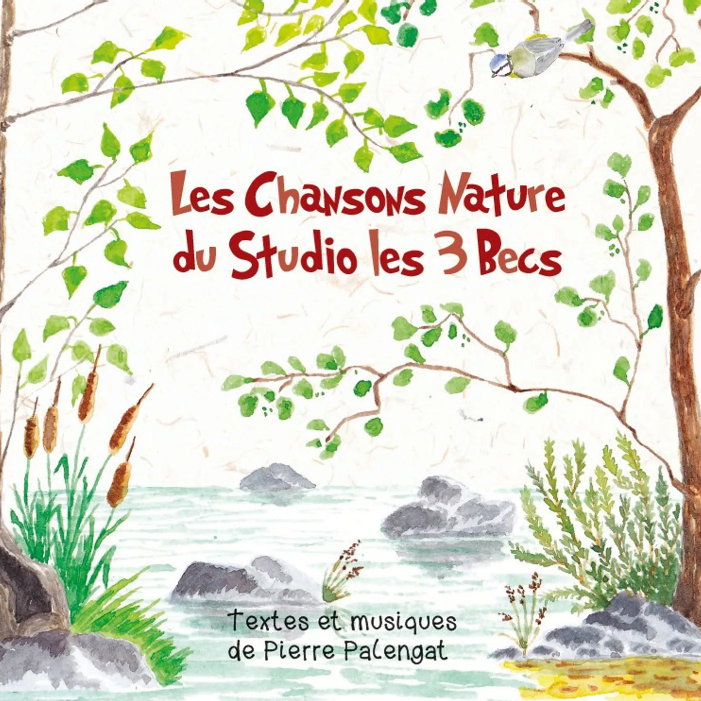 LES CHANSONS NATURE DU STUDIO LES 3 BECS - PIERRE PALENGAT (CD)