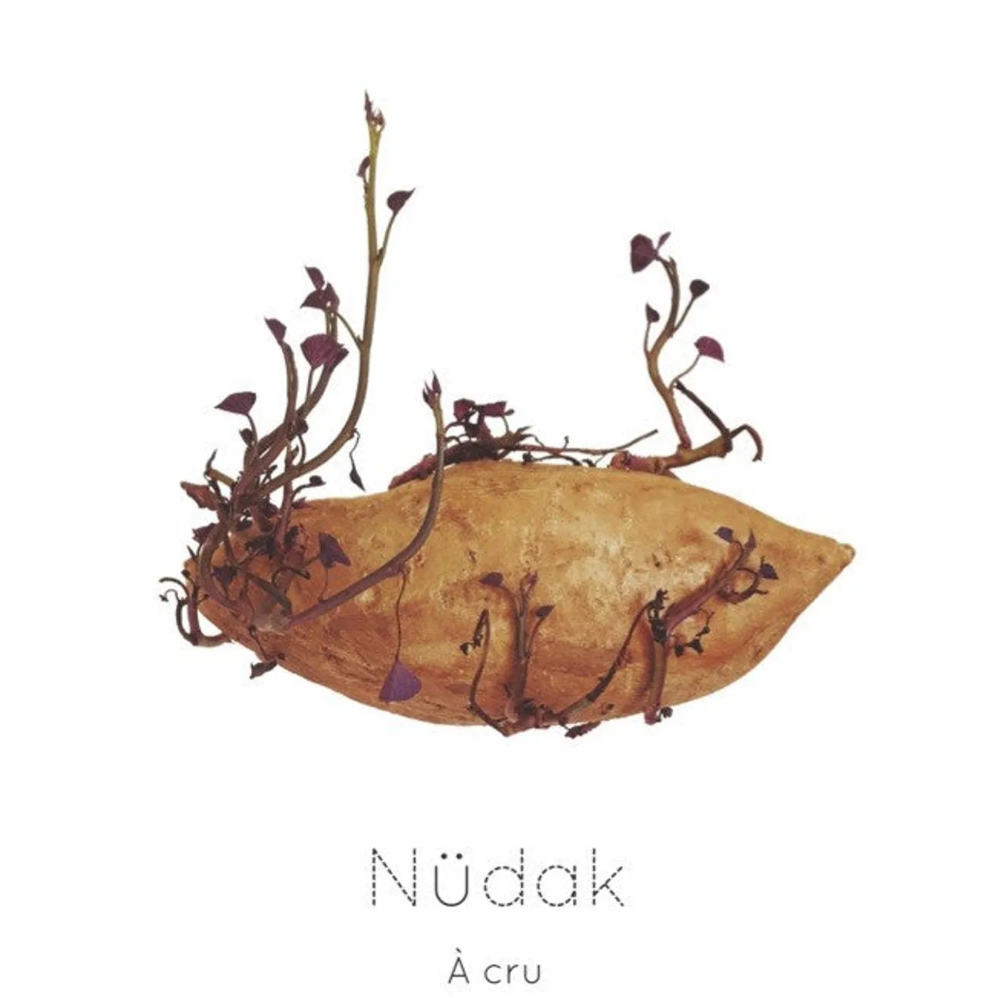 Nüdak À Cru CD