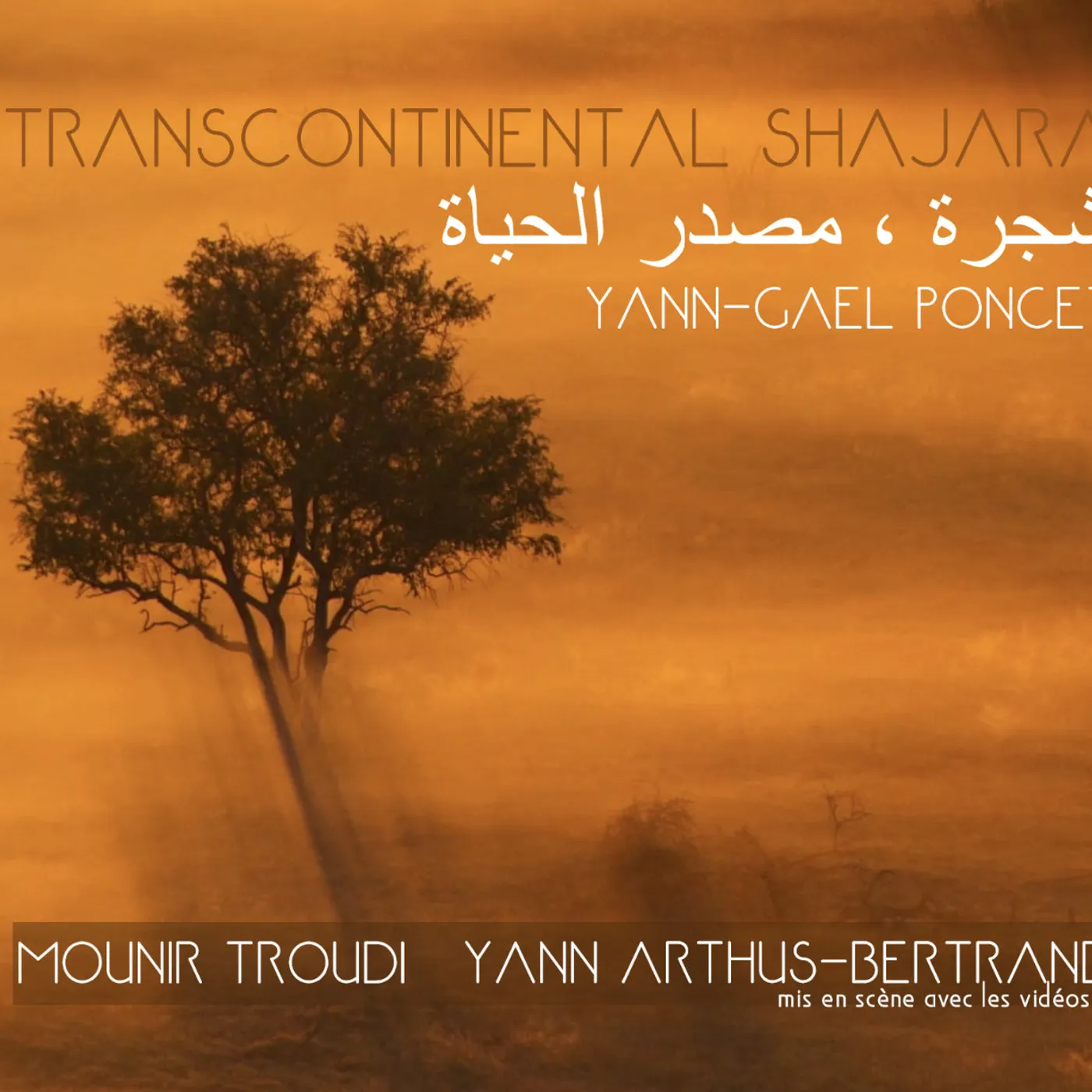 TRANSCONTINENTAL SHAJARA / YANN-GAËL PONCET - YANN-GAëL PONCET (CD)