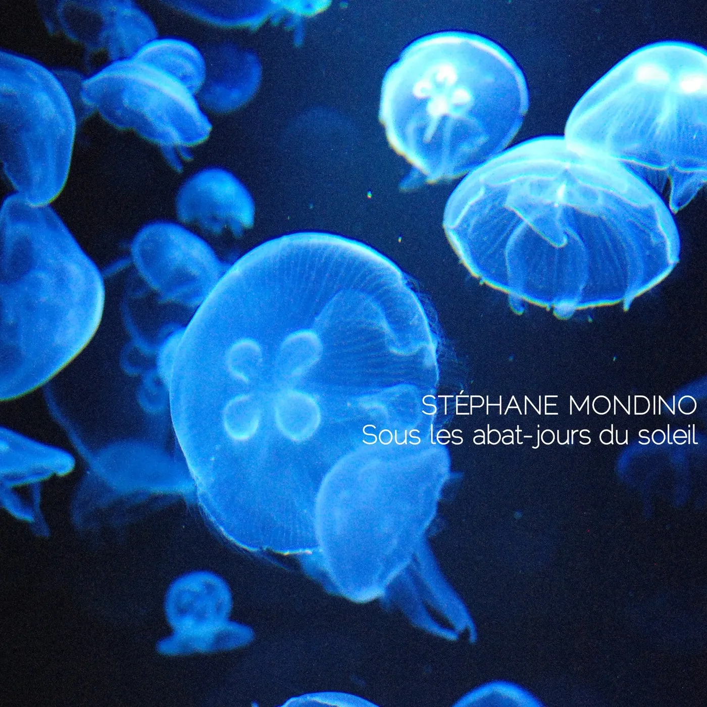 Stéphane Mondino SOUS LES ABAT-JOURS DU SOLEIL - STEPHANE MONDINO (CD)