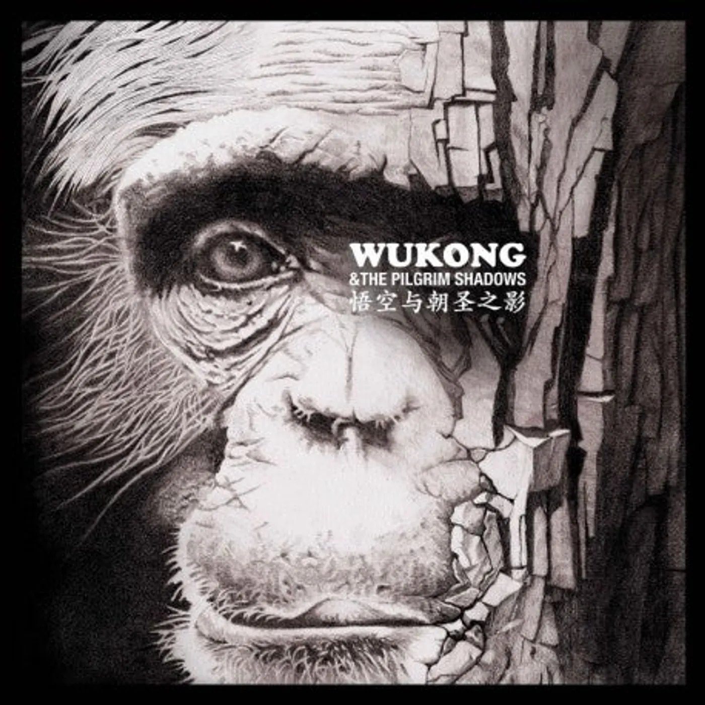 WUKONG AND THE PILGRIM SHADOWS - WUKONG (DOUBLE VINYLE 33T)
