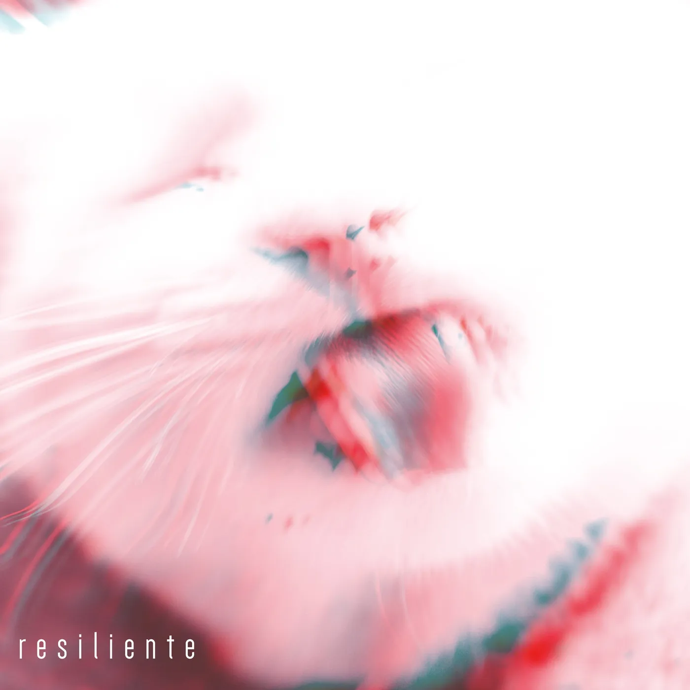 RESILIENTE - MULA (33T)